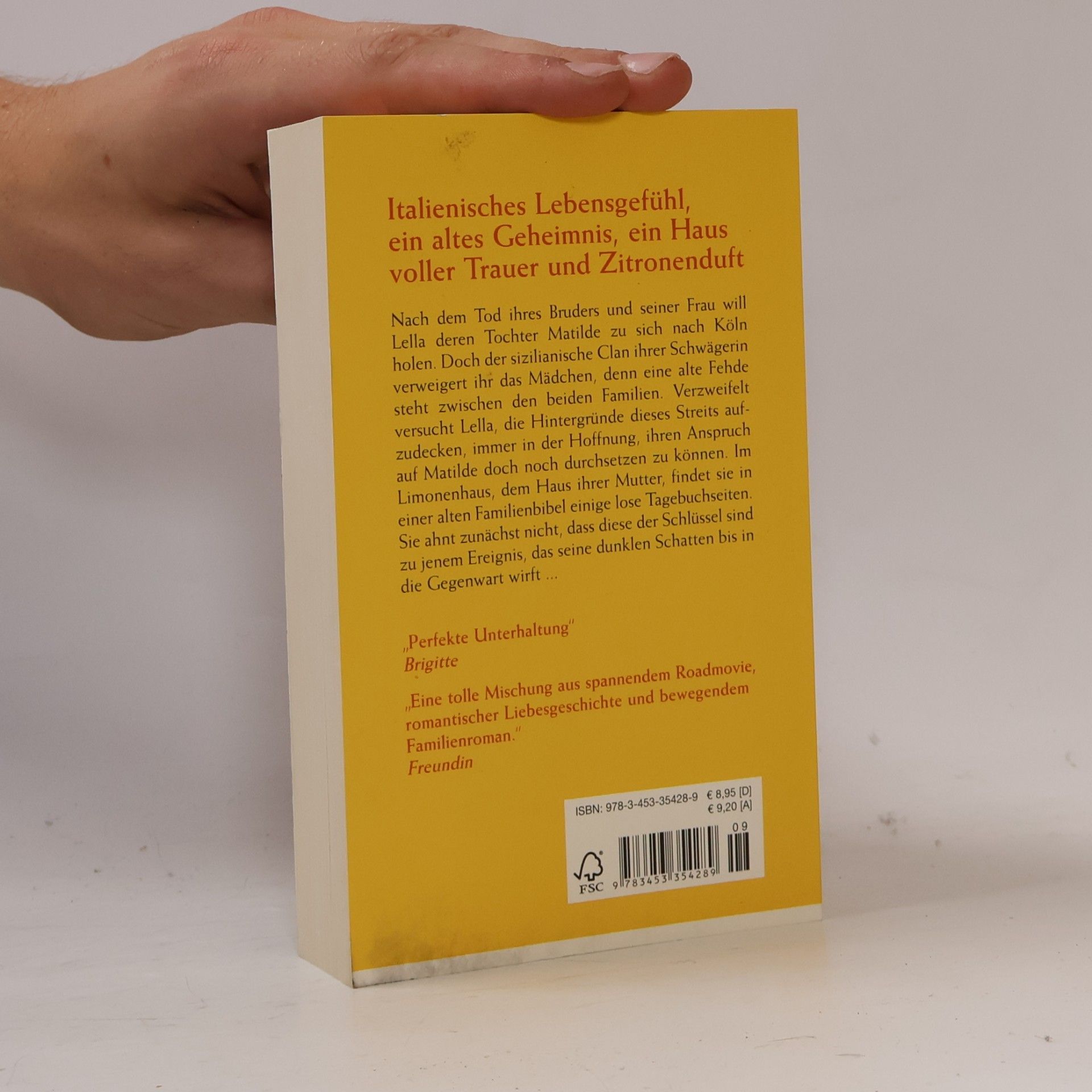 Stephanie Gerstenberger Das Limonenhaus