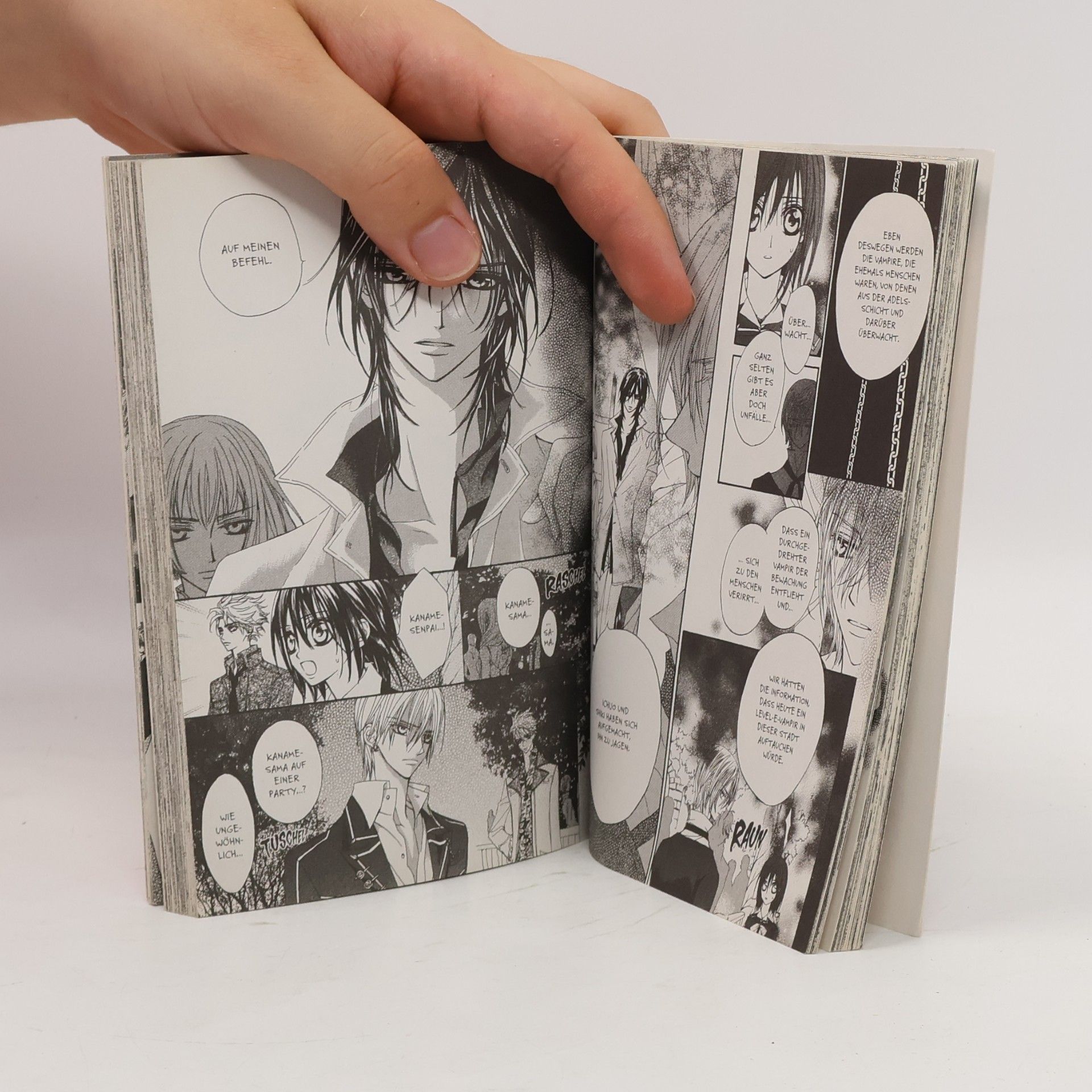 Matsuri Hino Vampire Knight 2