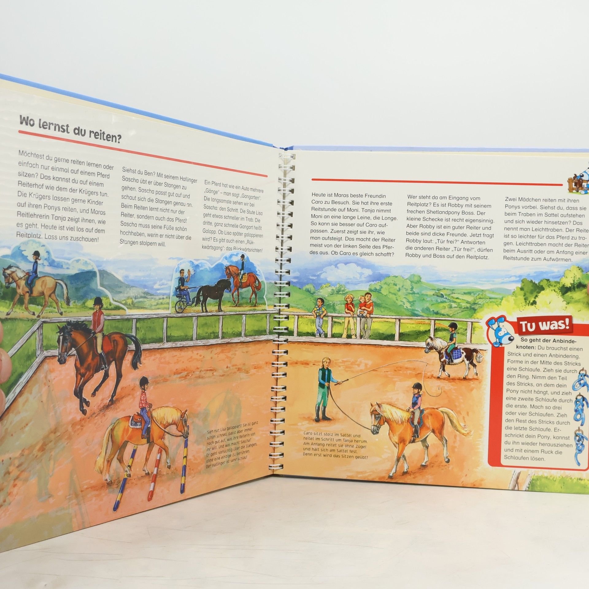 Collectif d'auteurs Weißt du alles über Pferde und Ponys?