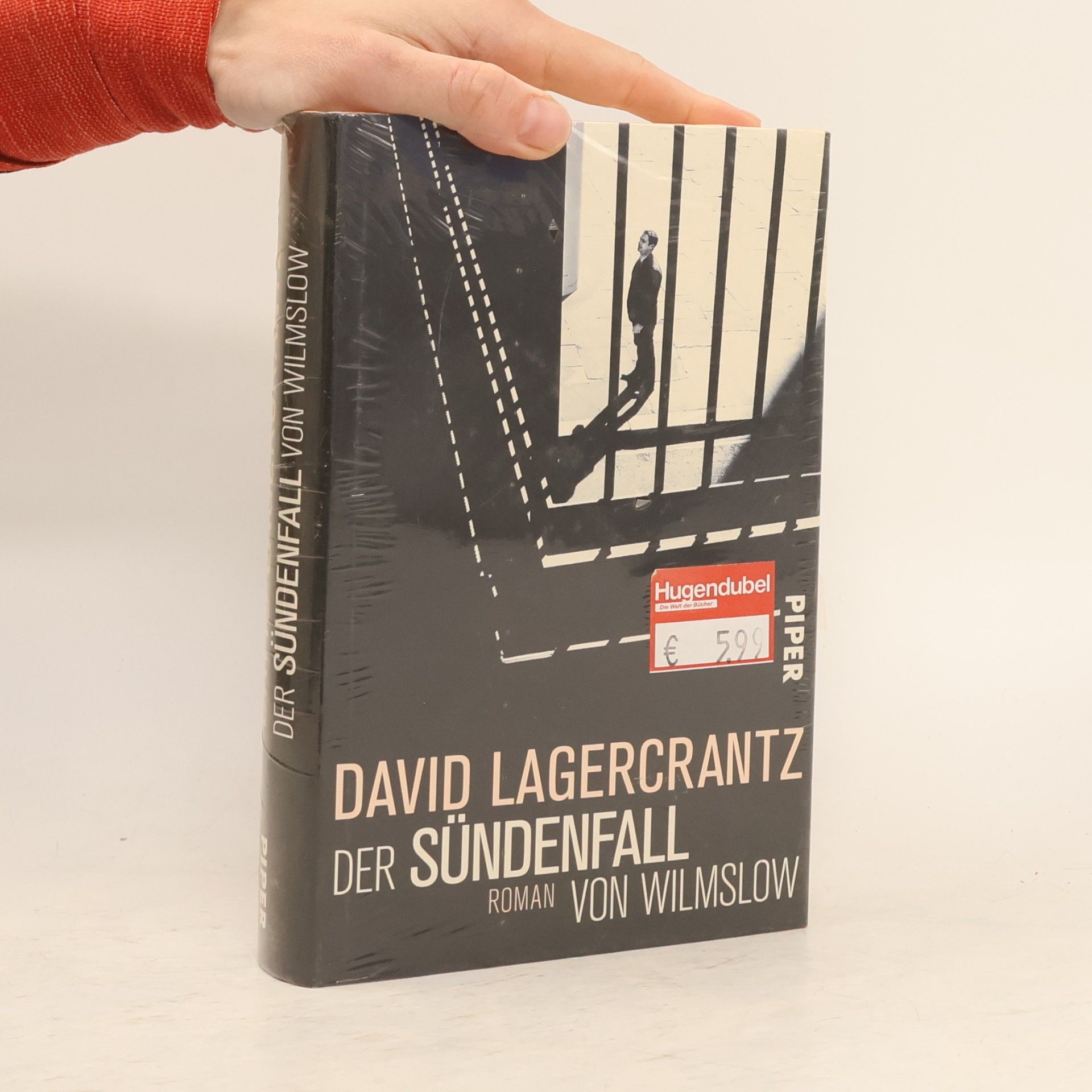 David Lagercrantz Der Sündenfall von Wilmslow