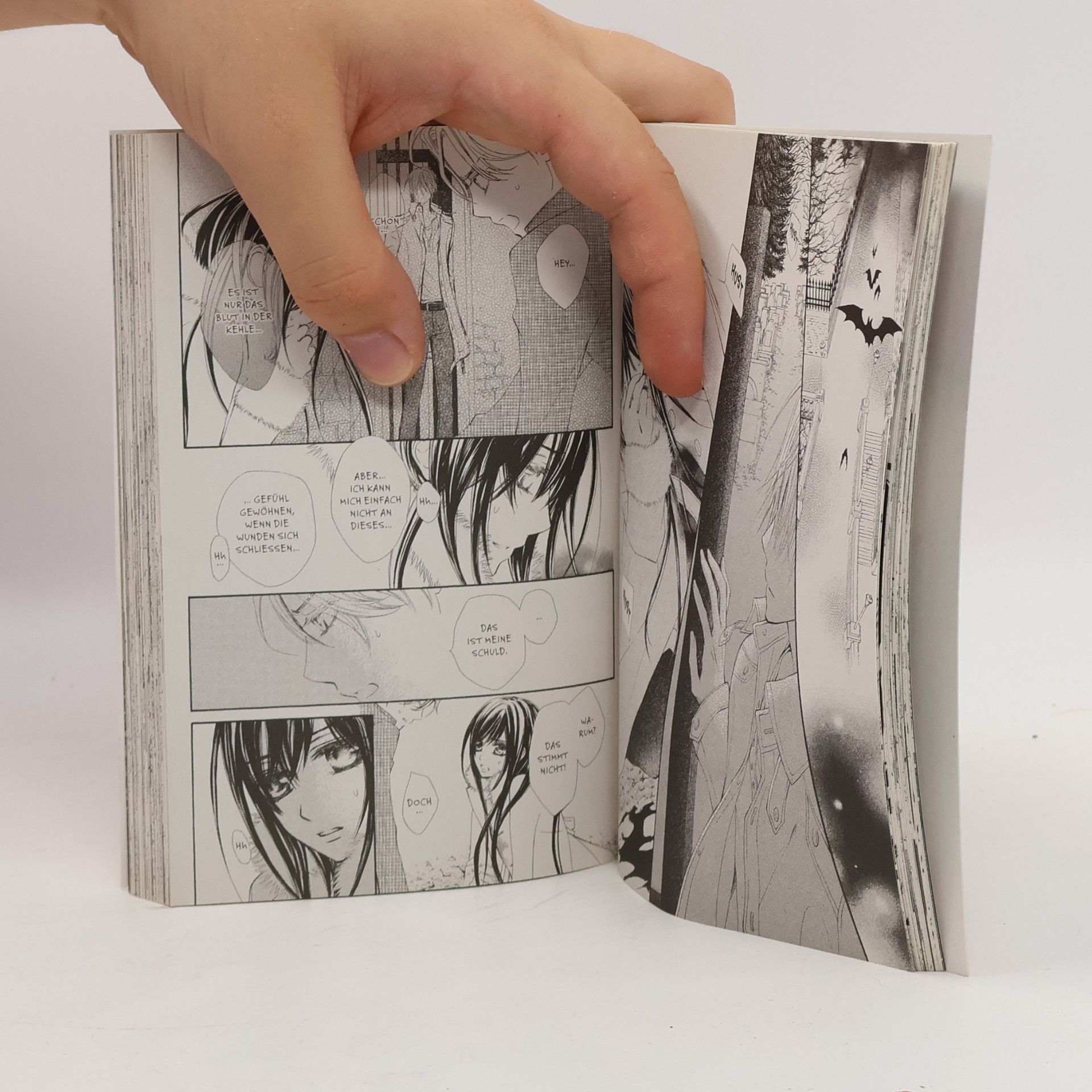 Matsuri Hino Vampire knight 13