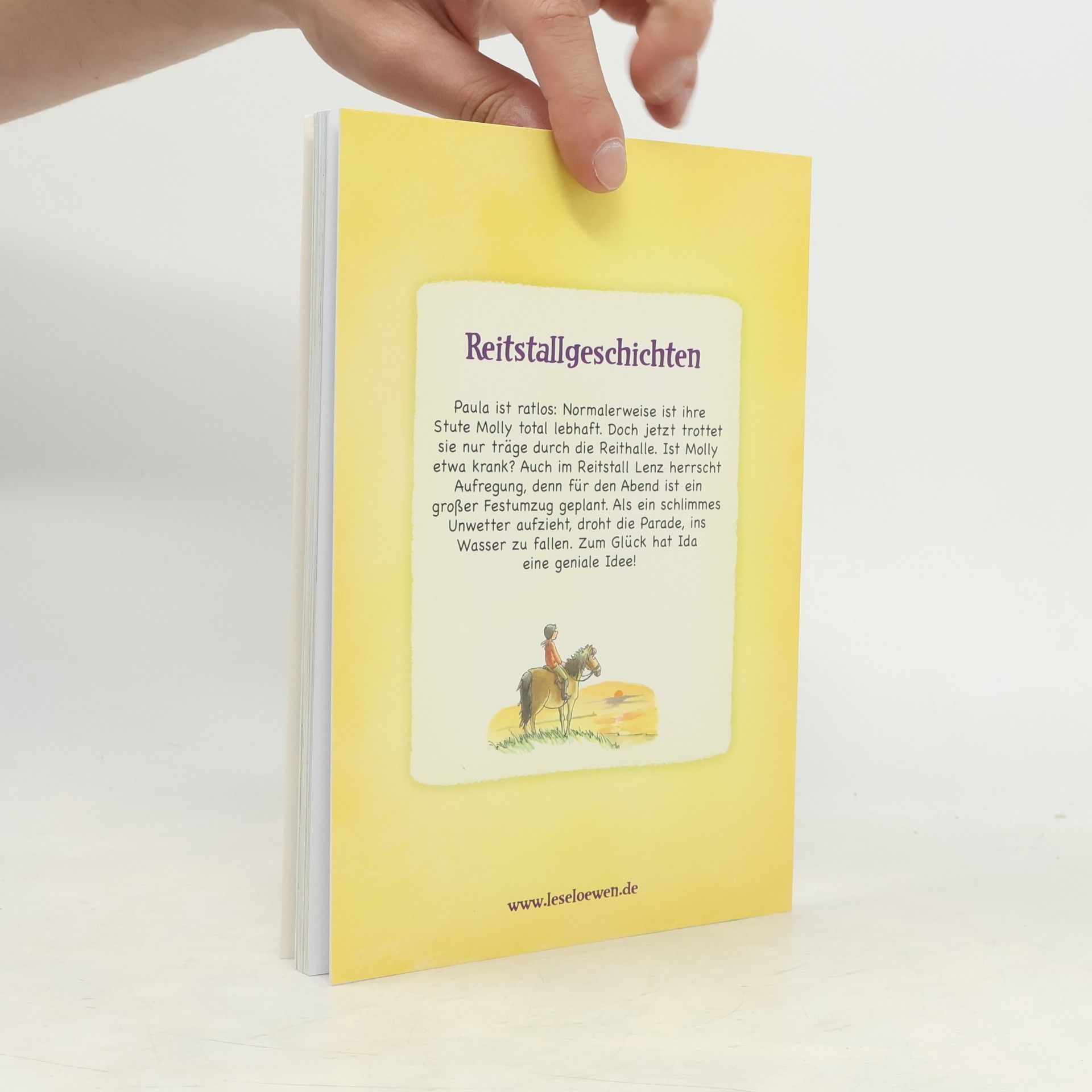 Heike Wiechmann Reitstallgeschichten