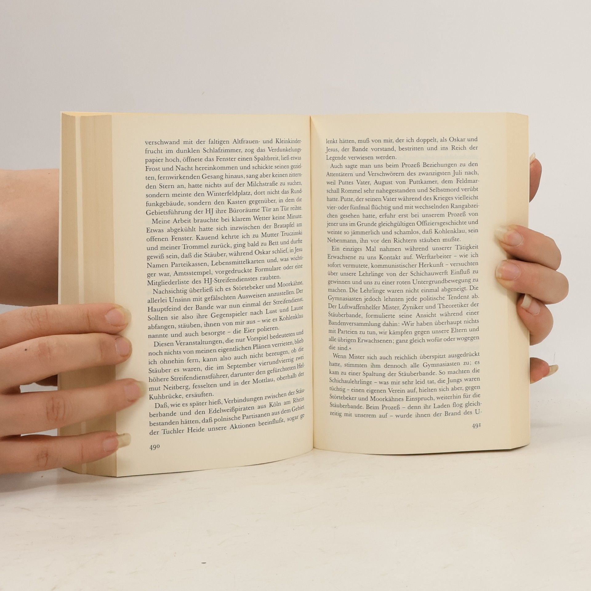 Günter Grass Die Blechtrommel: Roman
