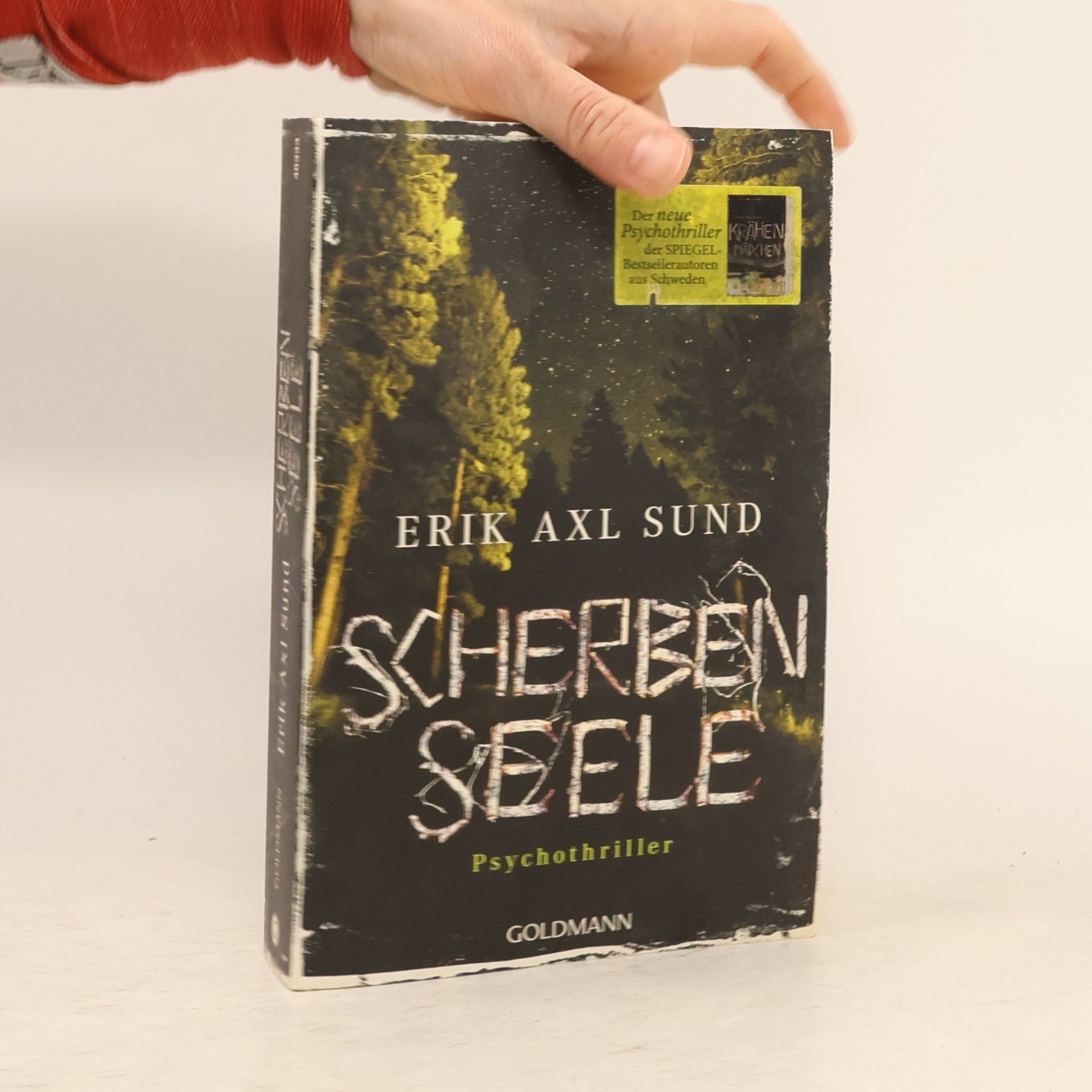 Erik Axl Sund Scherbenseele