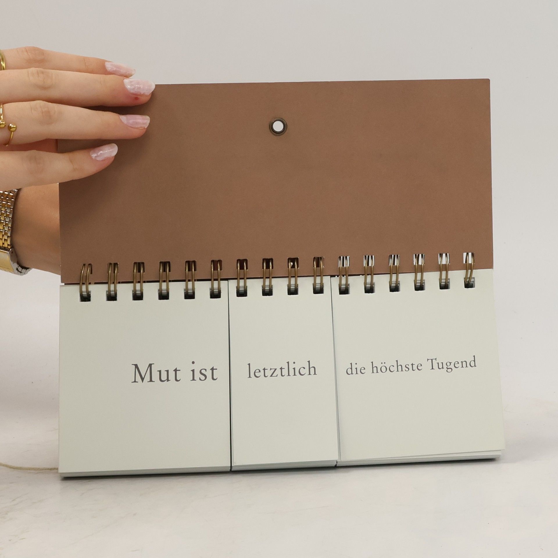 Pia Frey Der Moral-o-mat