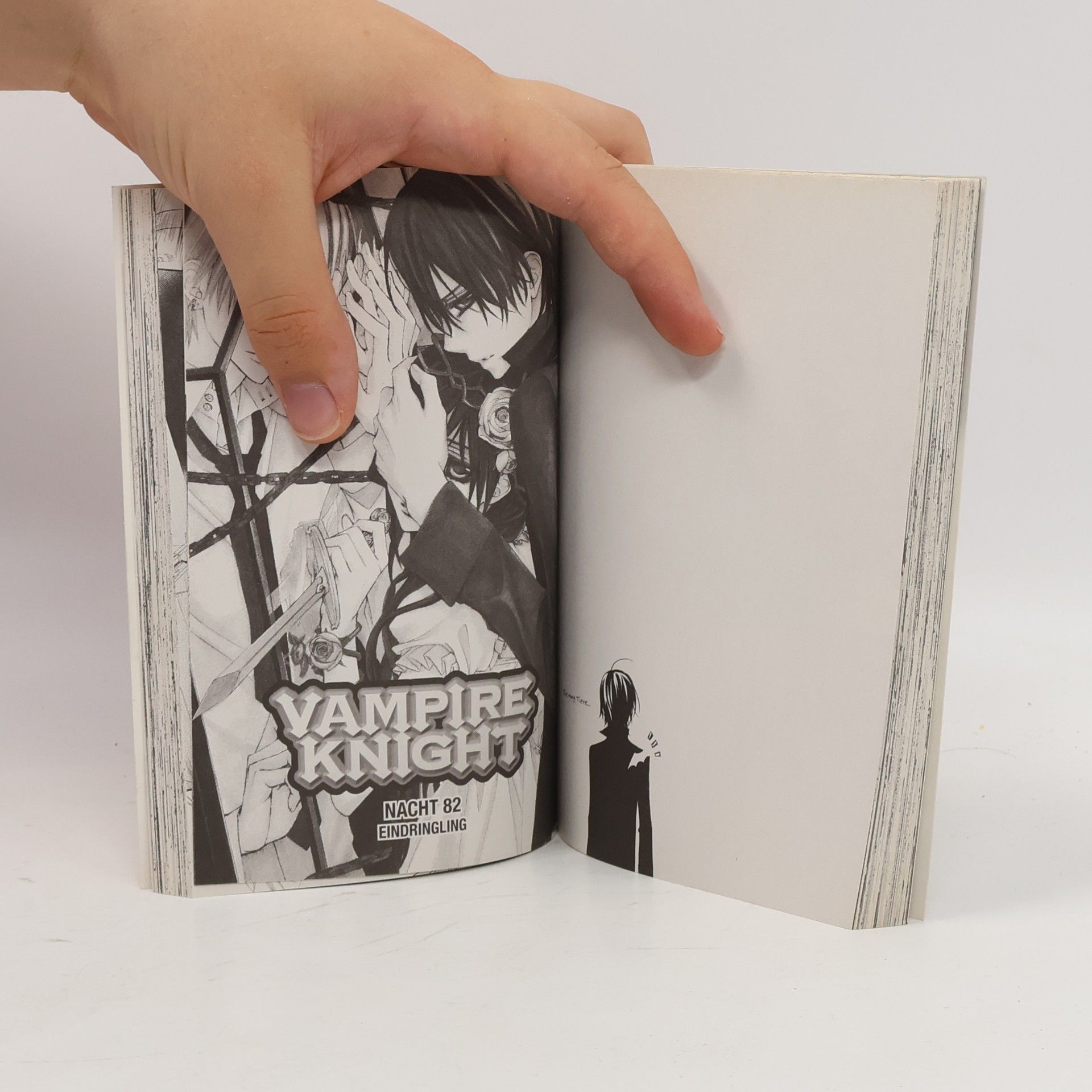 Matsuri Hino Vampire knight 17