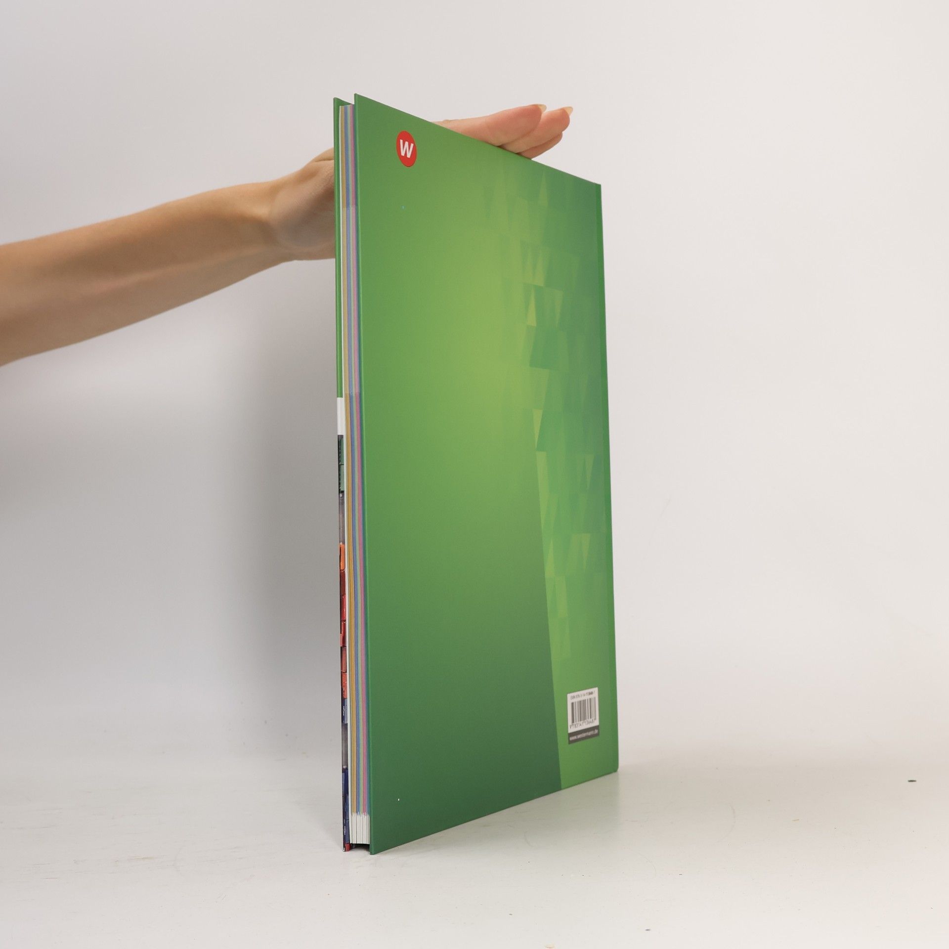 Westermann Schulbuch Diercke Erdkunde 3. Schülerband. Differenzierende Ausgabe für Nordrhein-Westfalen