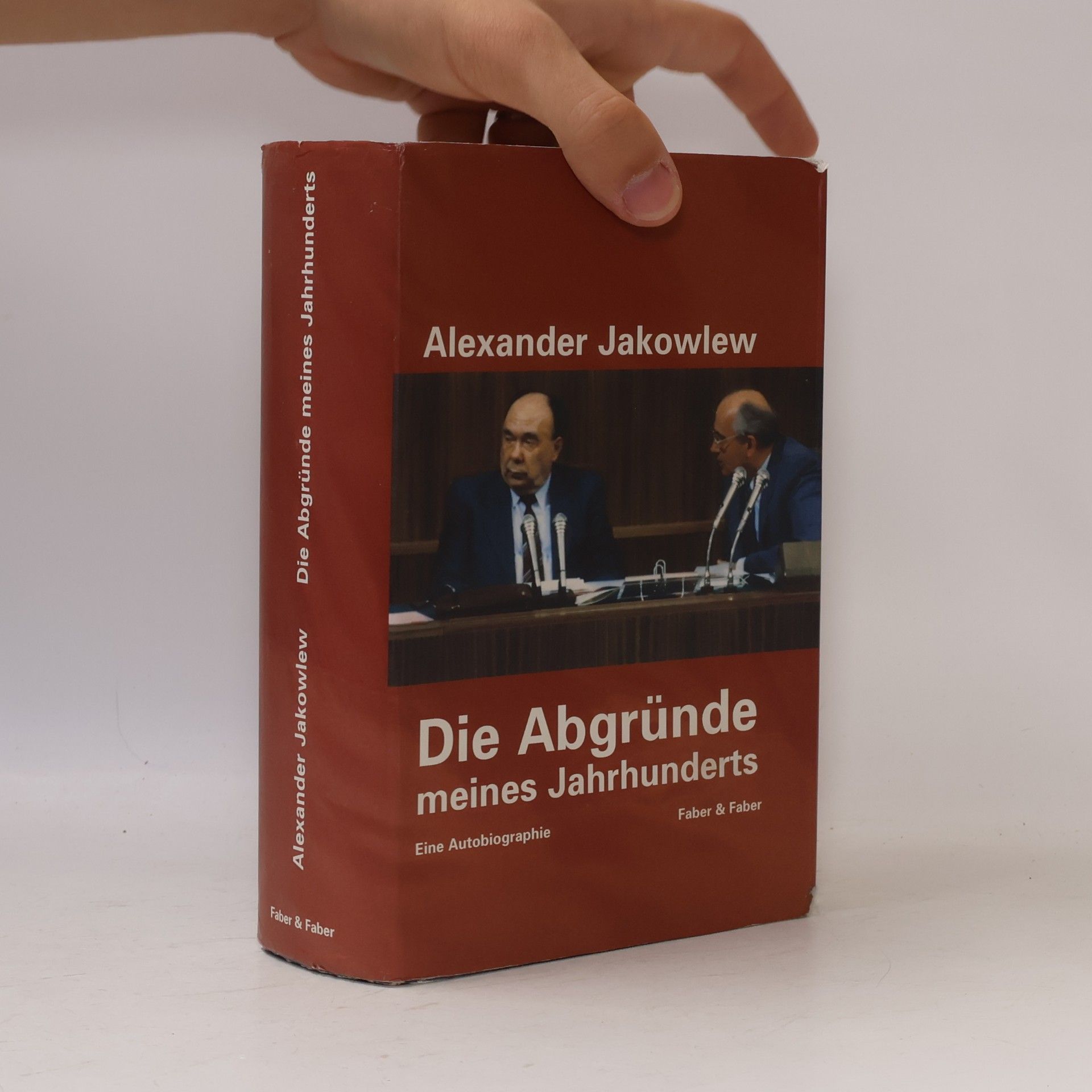 Die Abgründe meines Jahrhunderts