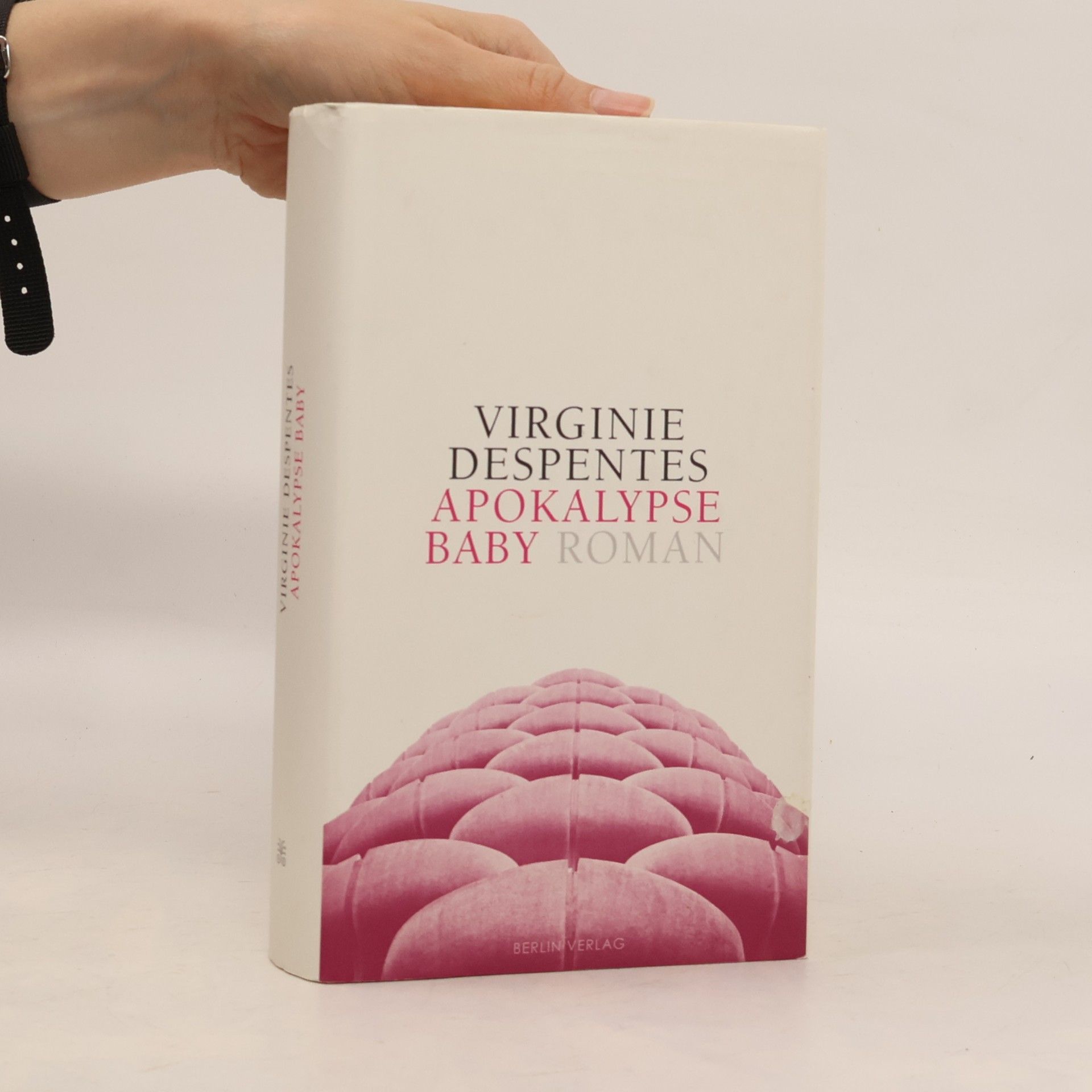 Virginie Despentes Apocalypse Baby