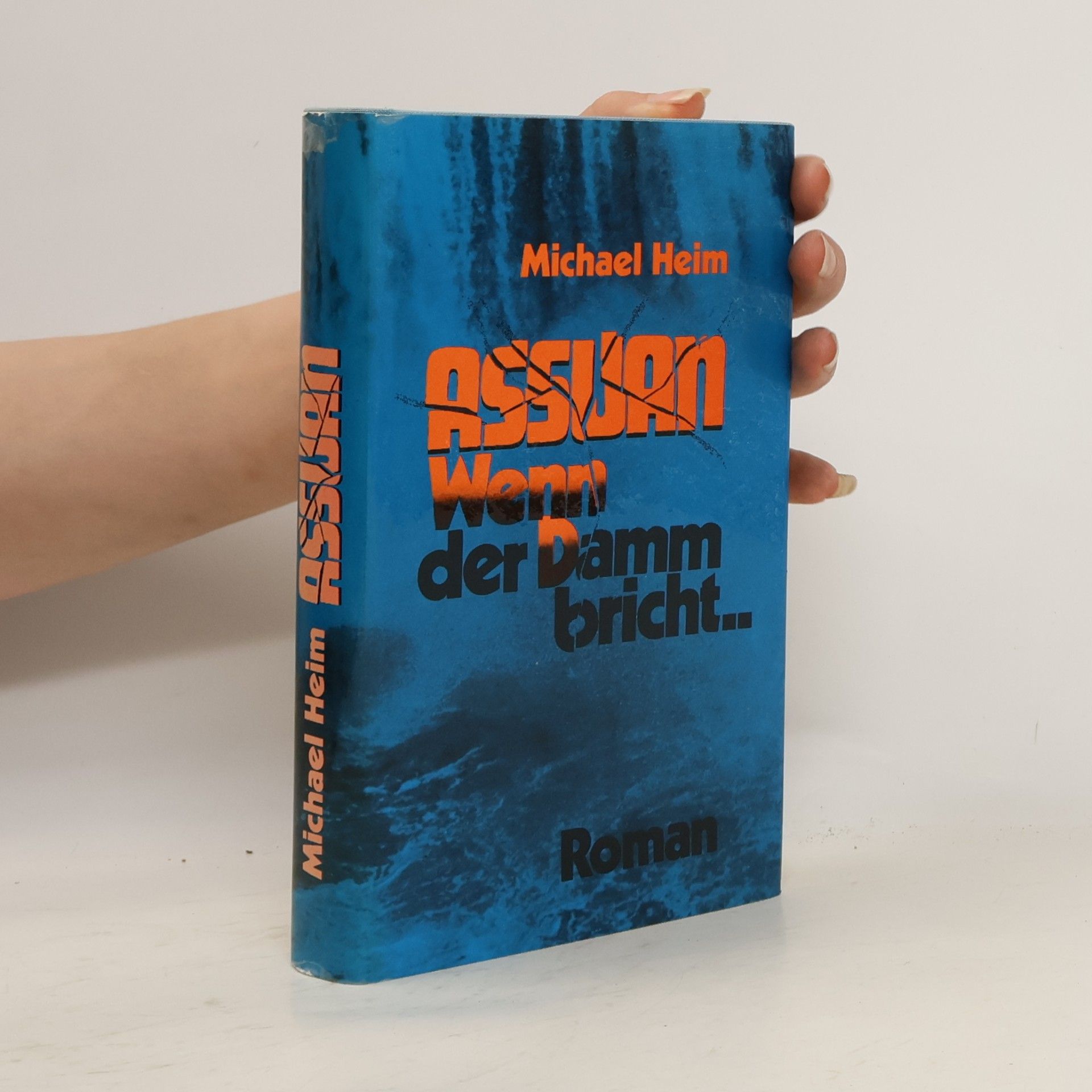Michael Heim Assuan. Wenn der Damm bricht