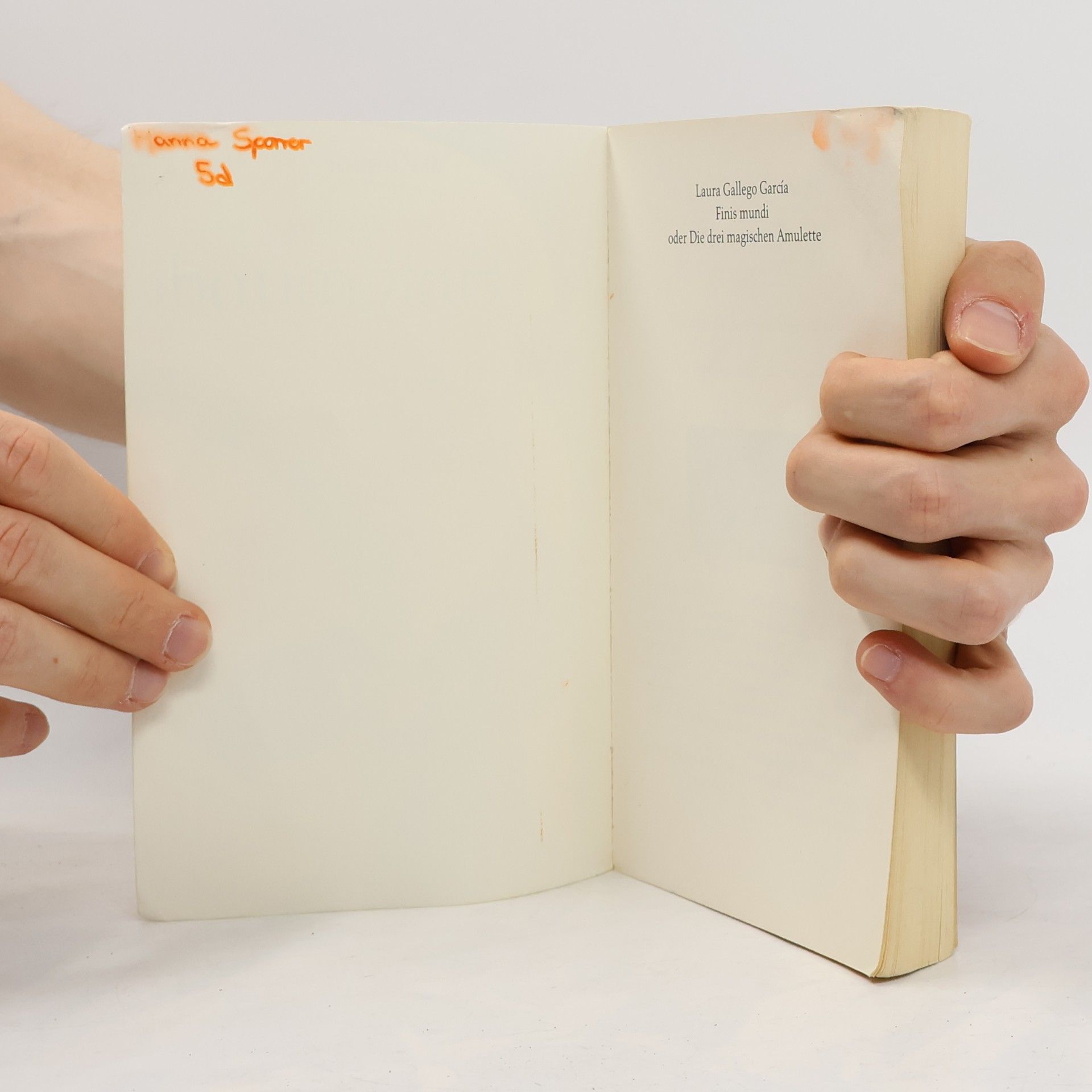 Laura Gallego García Finis mundi oder die drei magischen Amulette