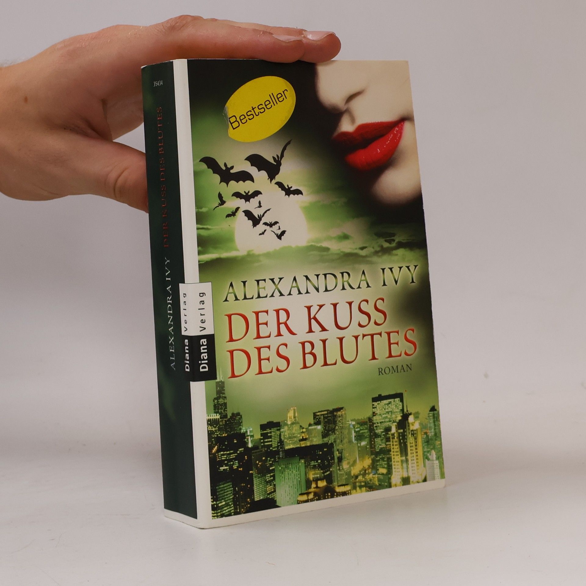 Alexandra Ivy Der Kuss des Blutes