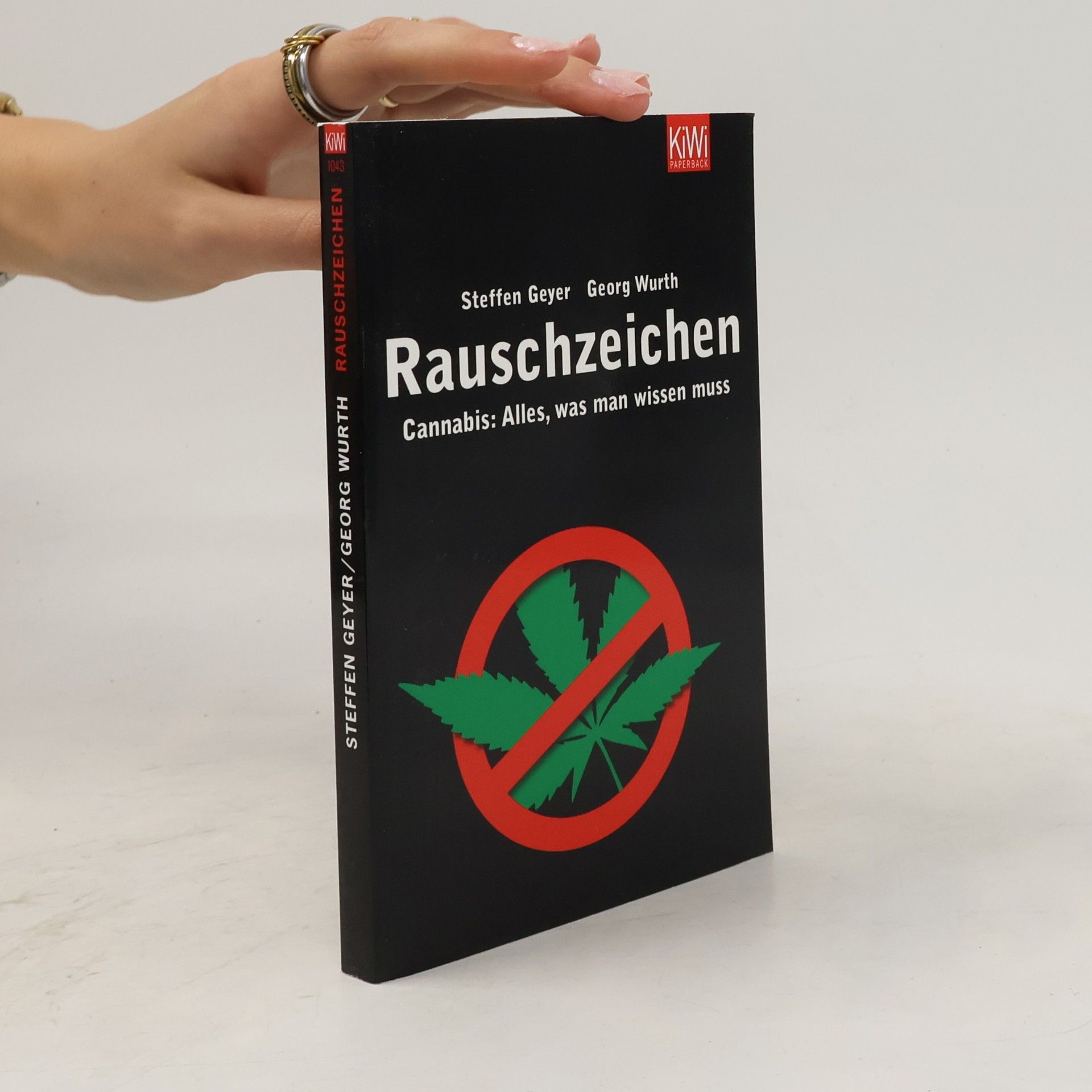Steffen Geyer Rauschzeichen