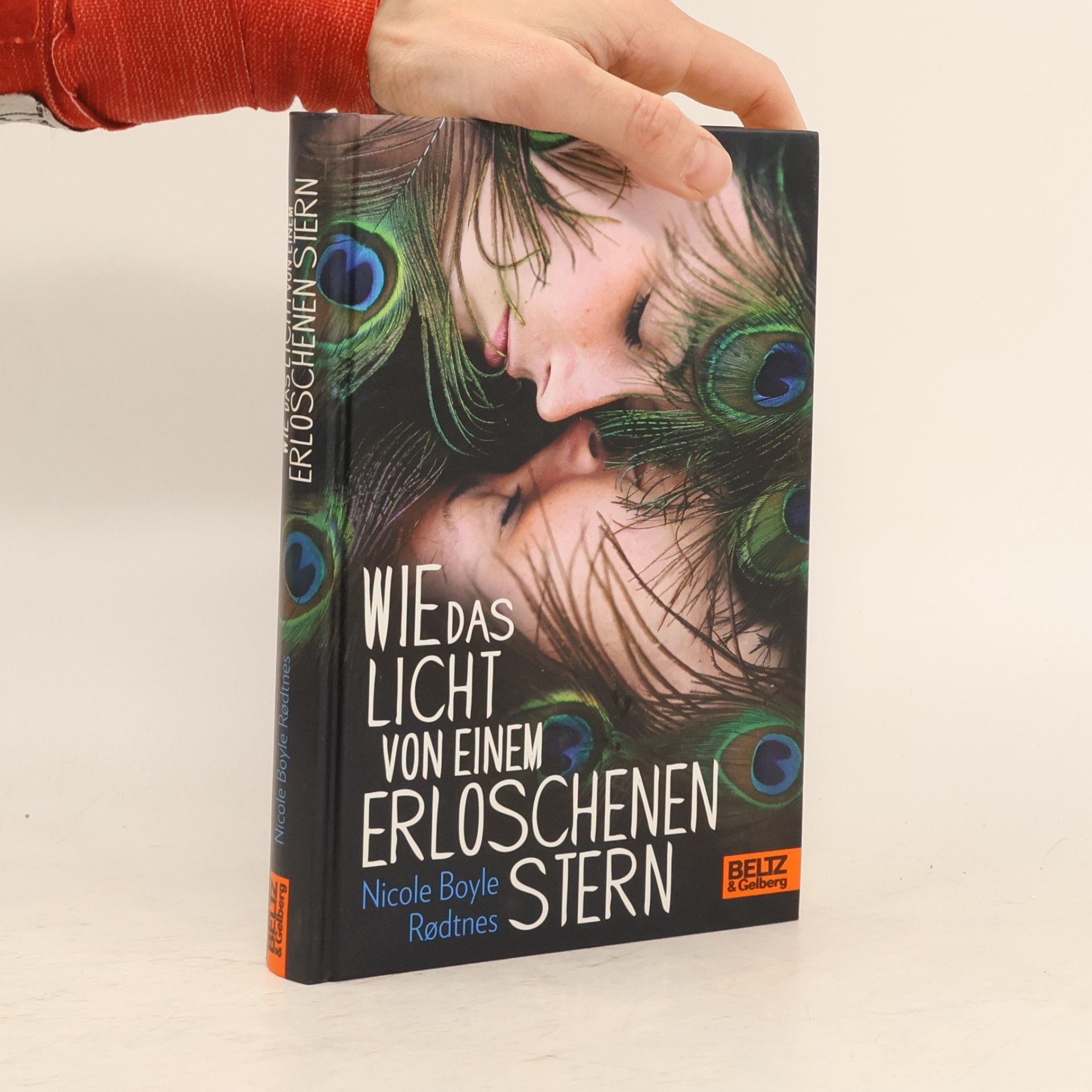 Nicole Boyle Rodtnes Wie das Licht von einem erloschenen Stern