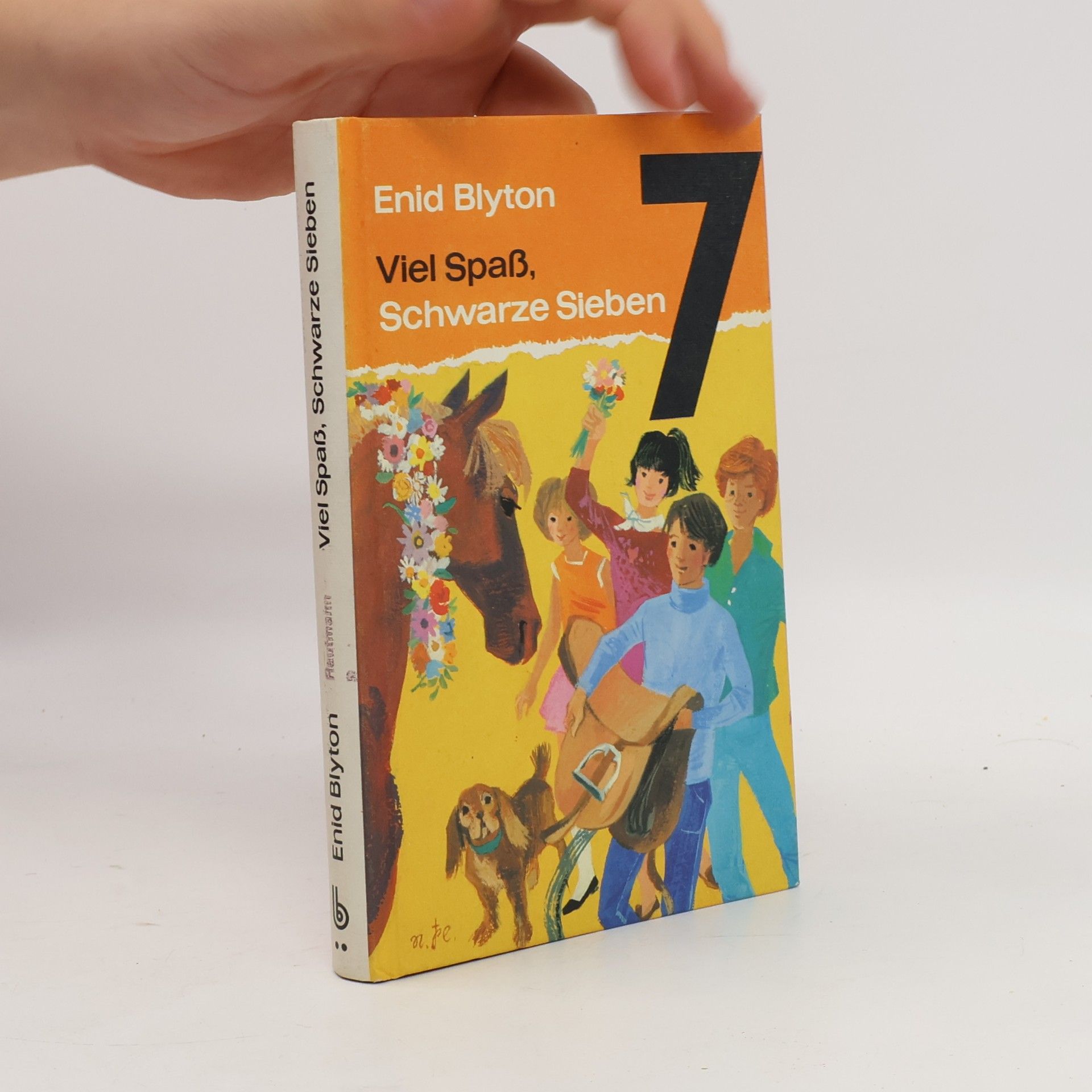 Enid Blyton Viel Spass, Schwarze Sieben