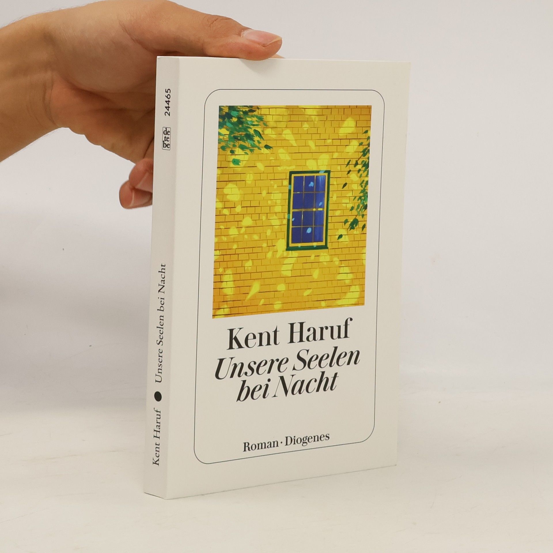 Kent Haruf Unsere Seelen bei Nacht