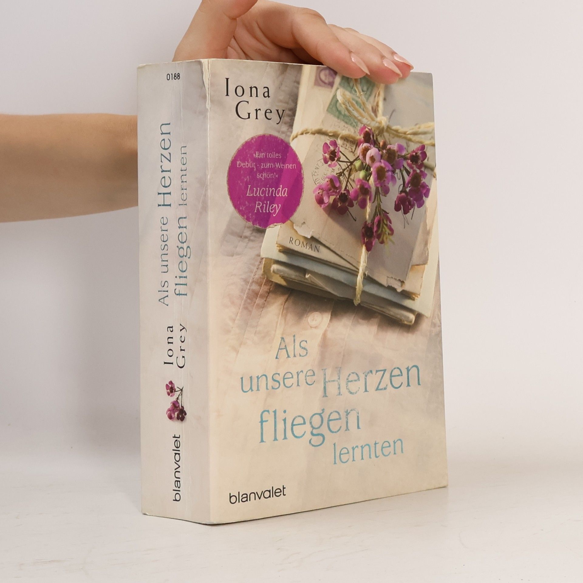 Iona Grey Als unsere Herzen fliegen lernten