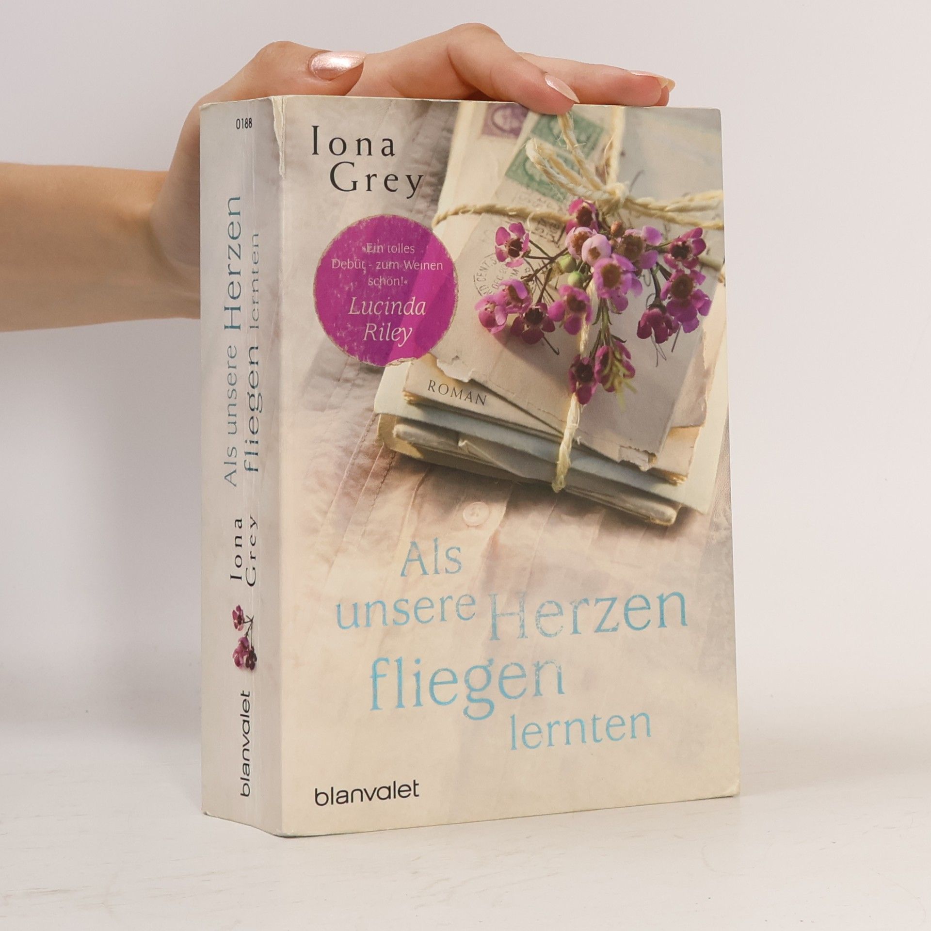 Iona Grey Als unsere Herzen fliegen lernten