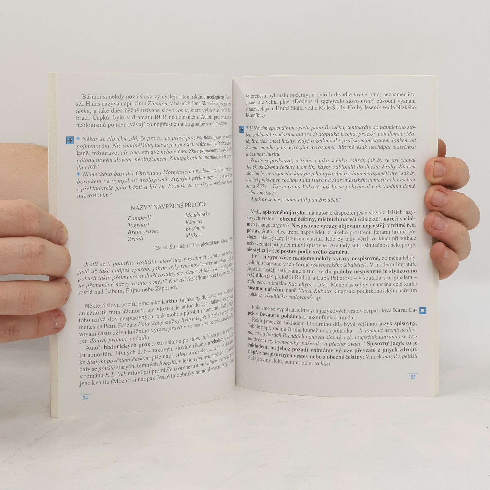 Ladislava Lederbuchová Trocha literární teorie
