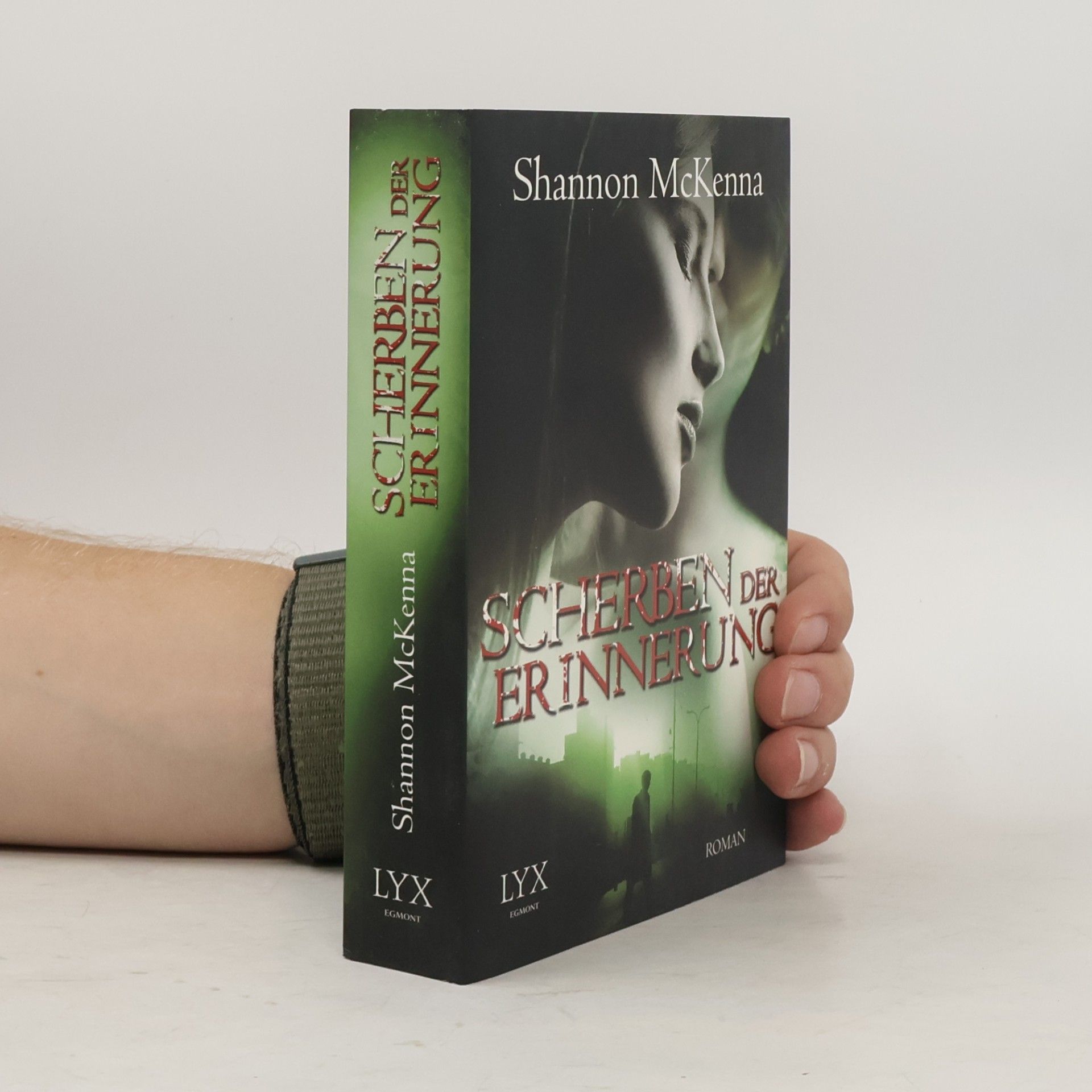 Shannon McKenna Scherben der Erinnerung