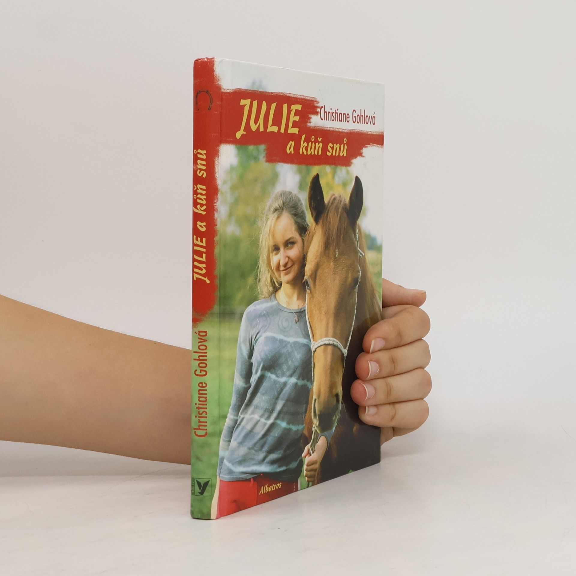 Christiane Gohl Julie a kůň snů