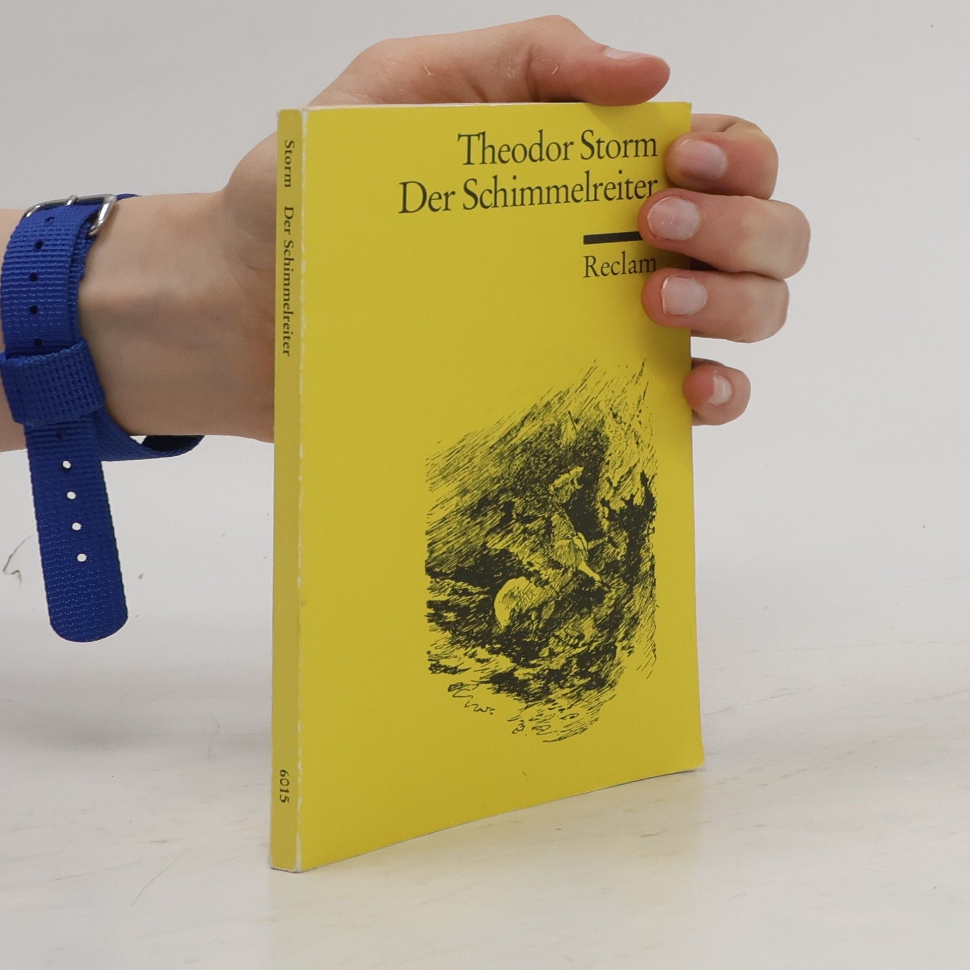 Der Schimmelreiter