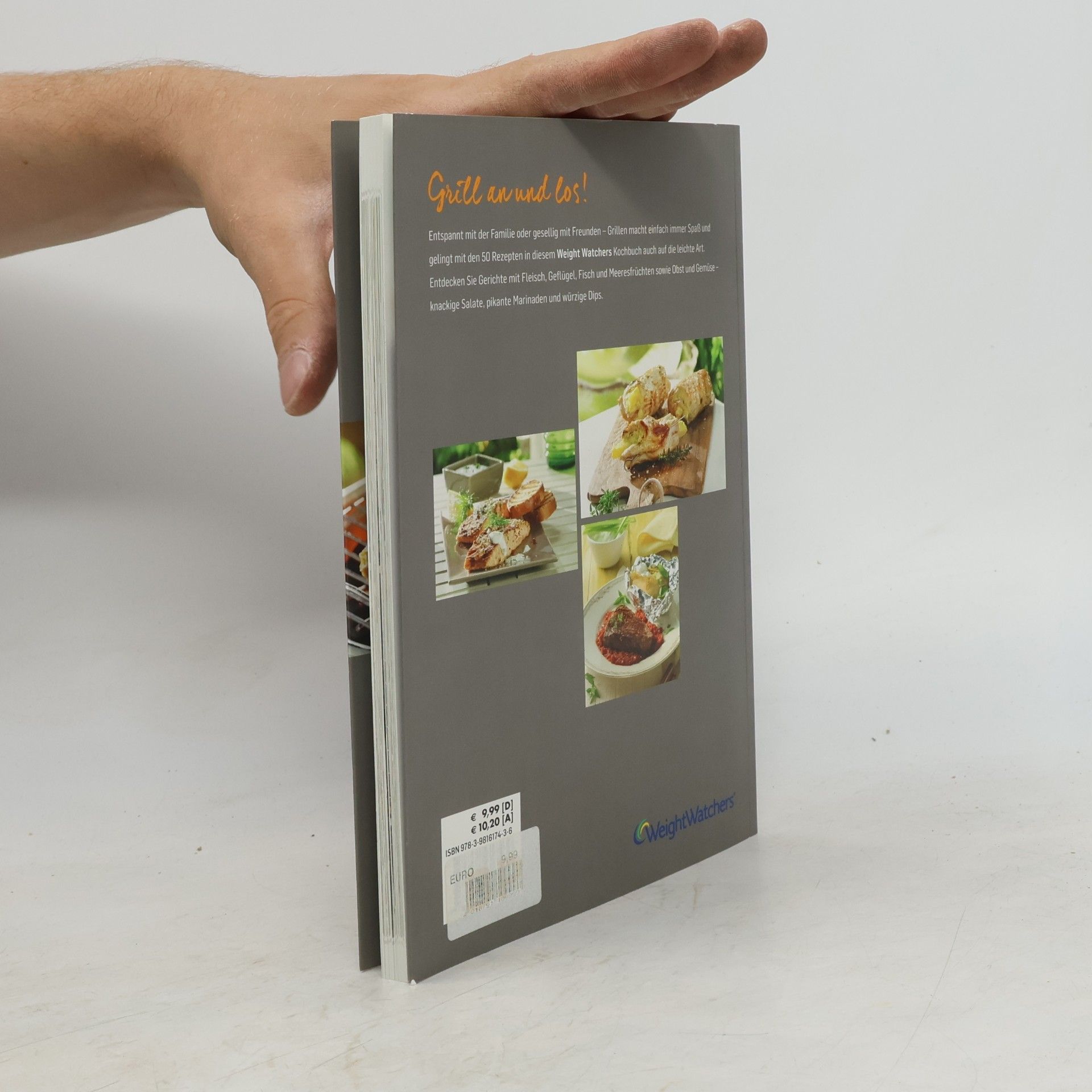 Janina Gerthold Das Grillbuch