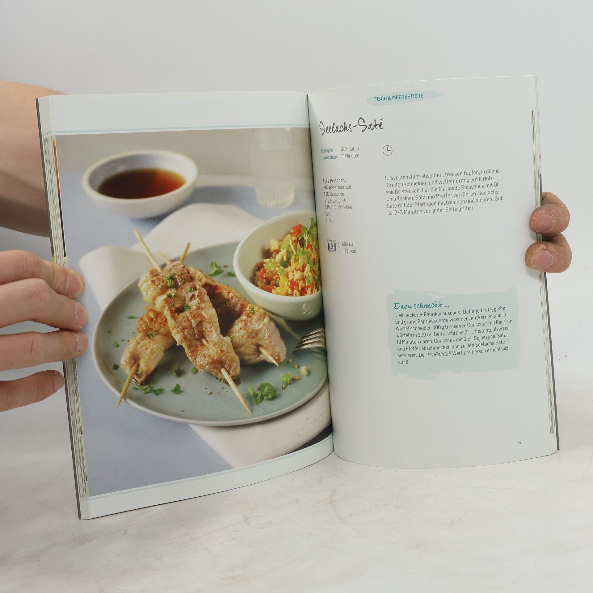 Janina Gerthold Das Grillbuch
