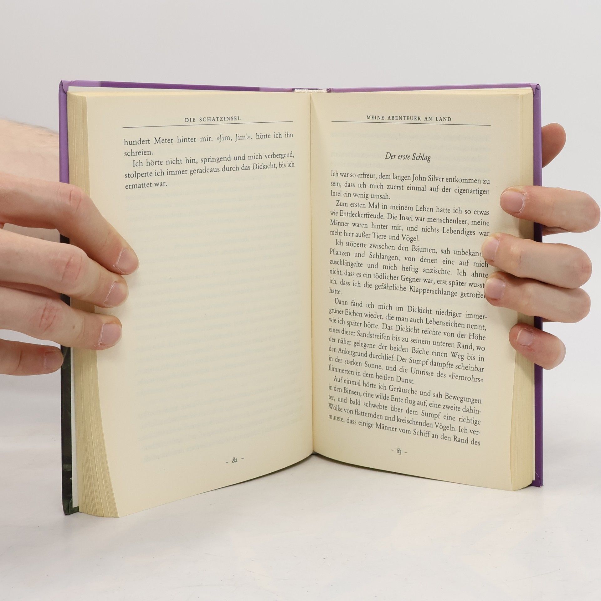 Robert Louis Stevenson Die Schatzinsel