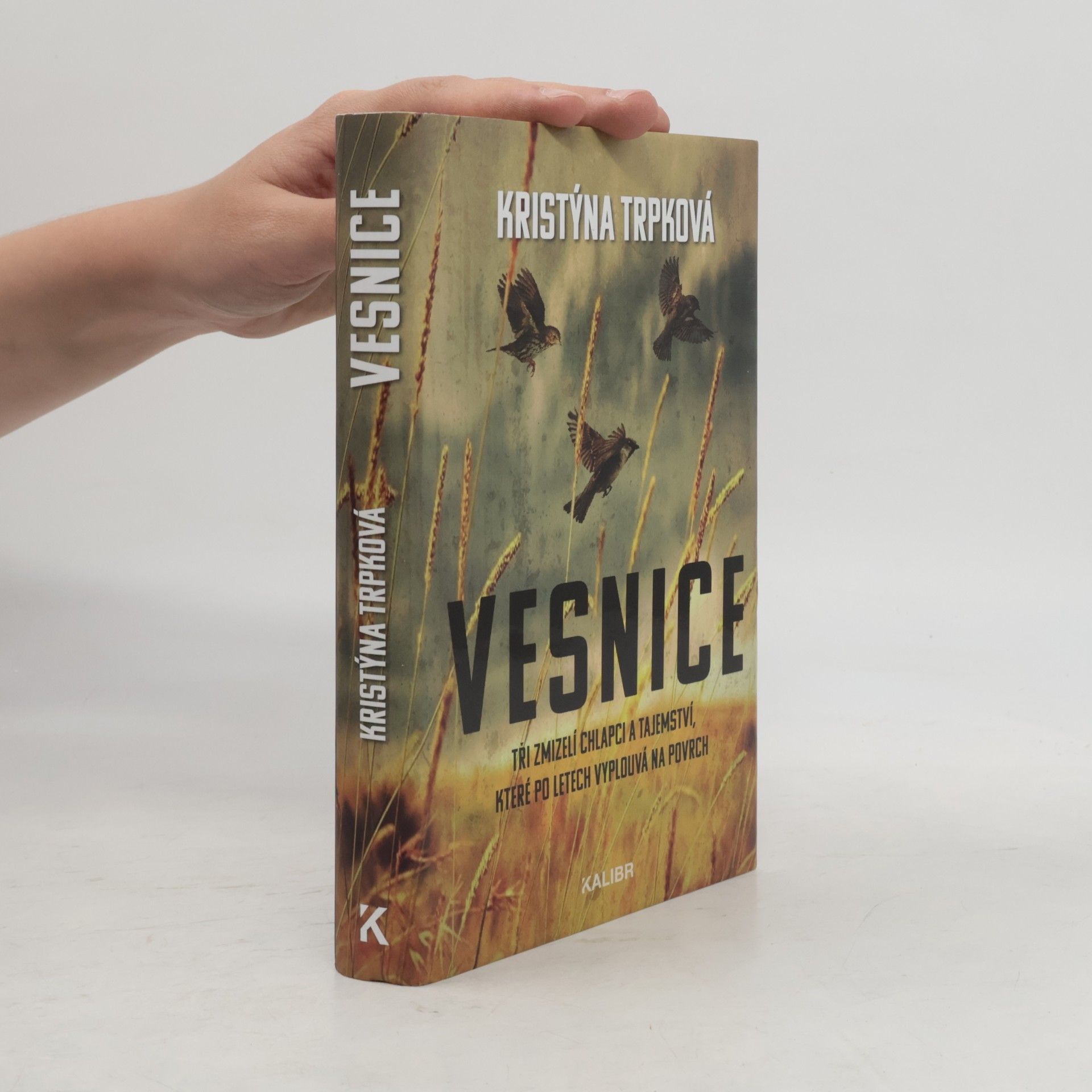 Kristýna Trpková Vesnice