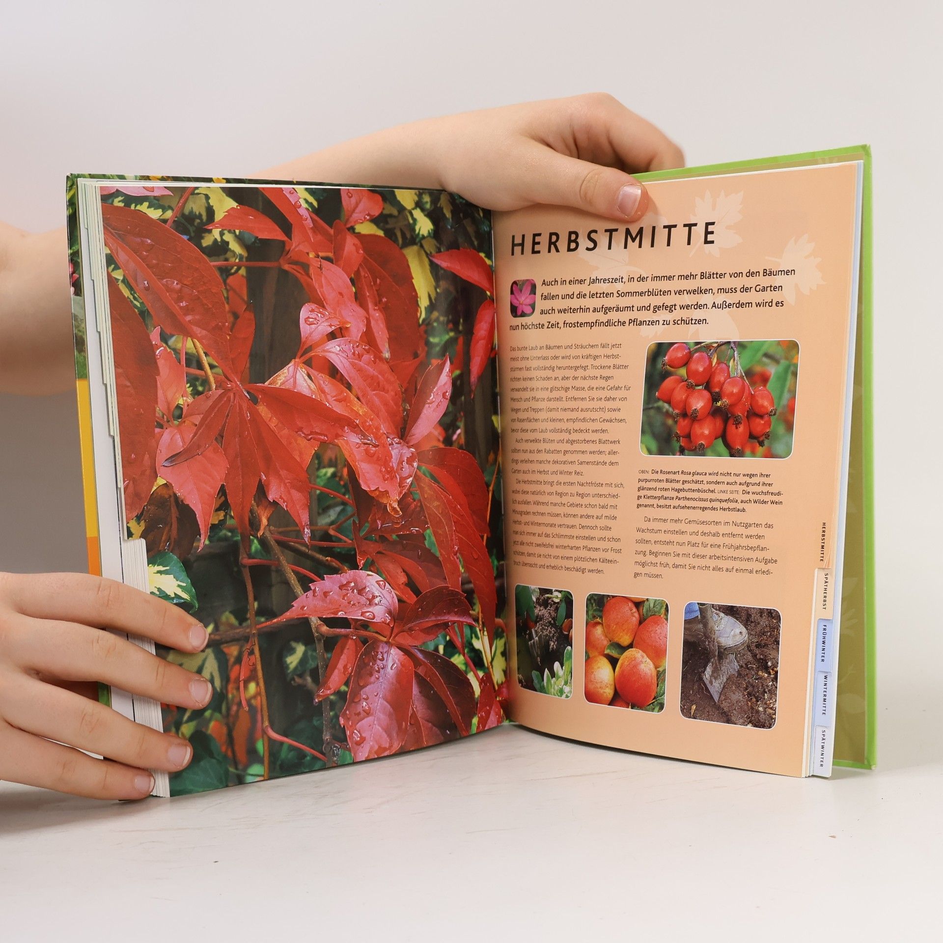 Jane Courtier Mein Gartenjahr