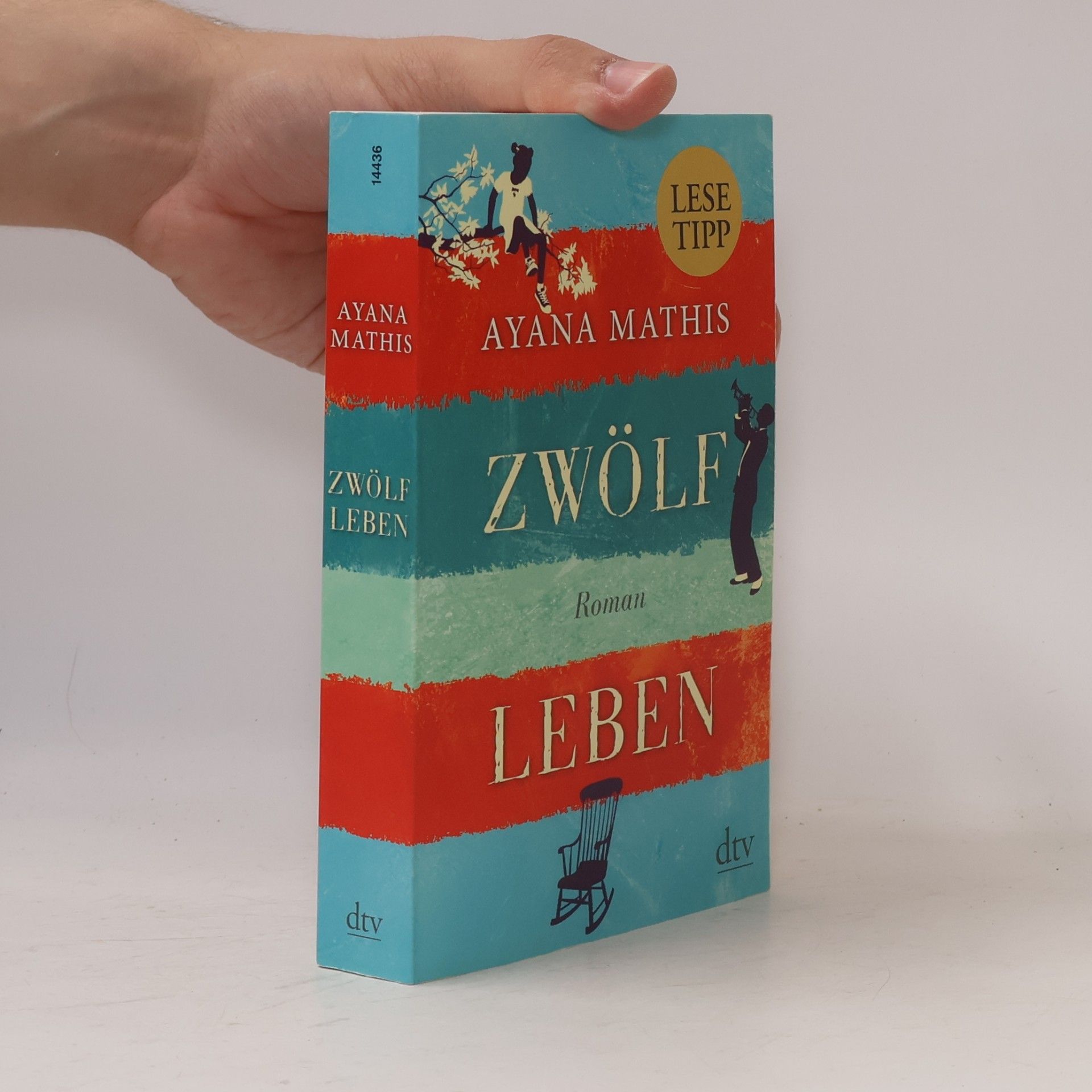 Ayana Mathis Zwölf Leben