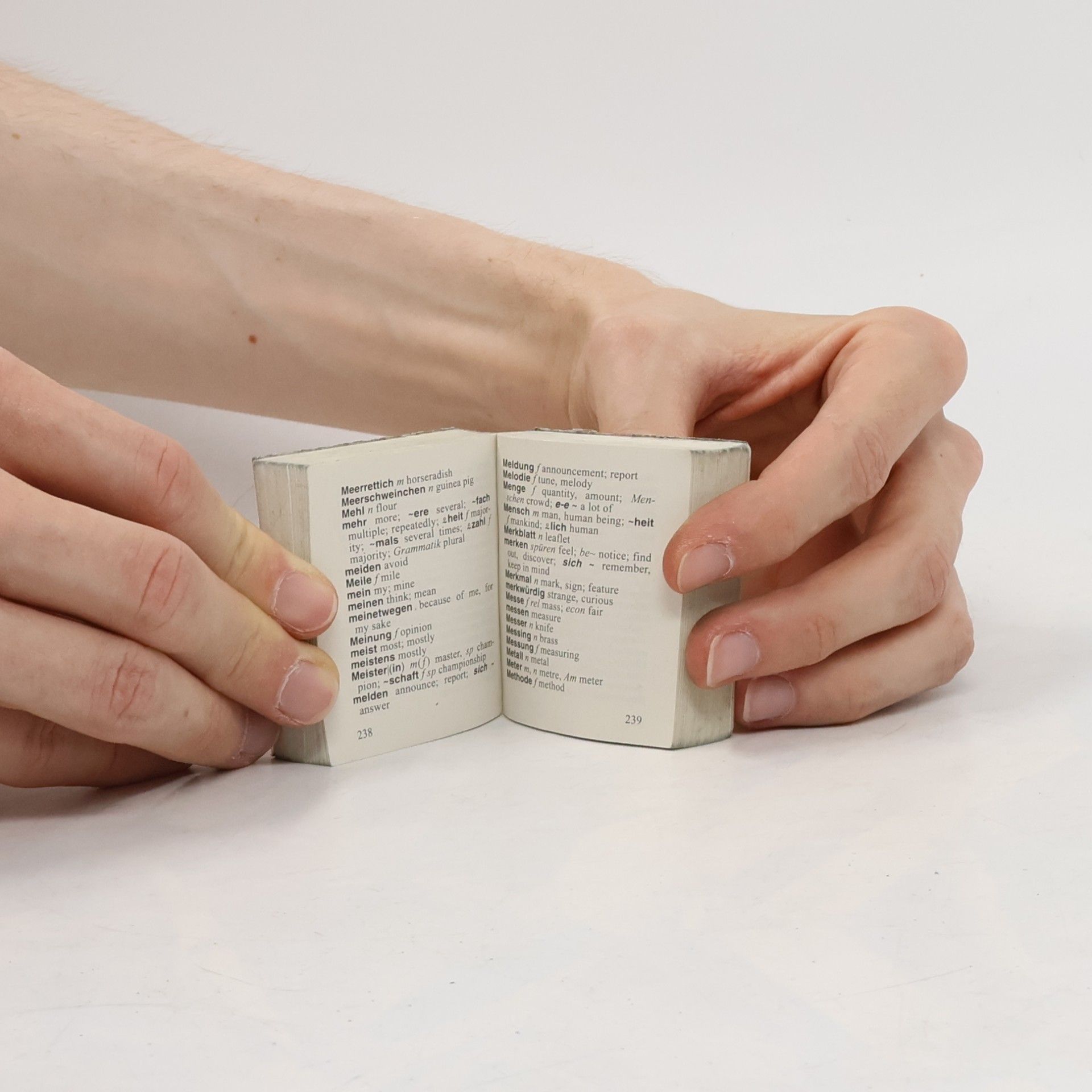 Gabriele Docherty Deutsch-englisches Wörterbuch