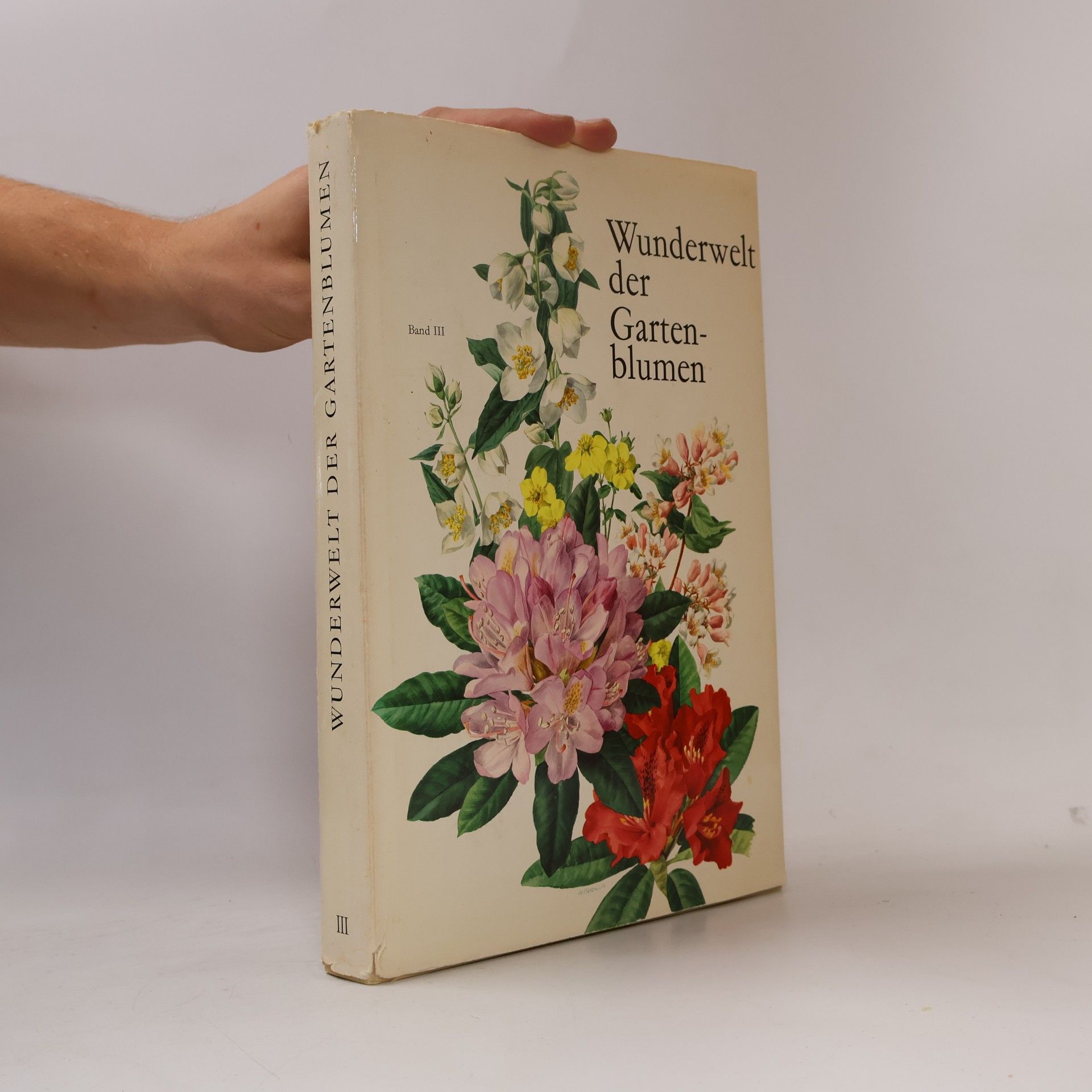 Anne Marie Trechslin Wunderwelt der Gartenblumen III.