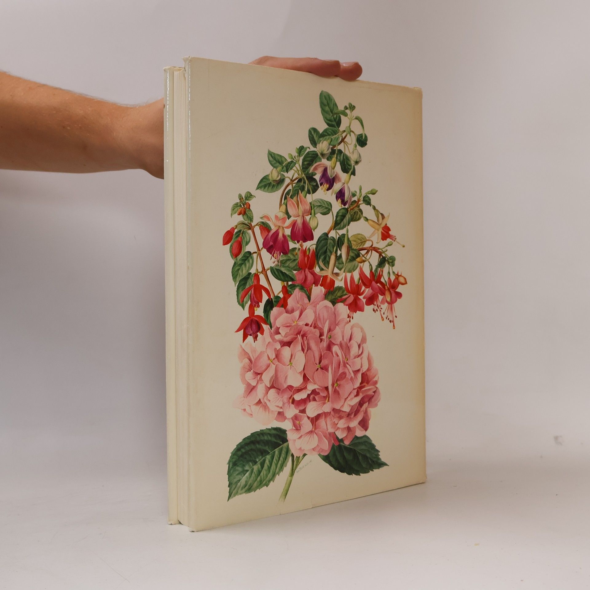 Karlheinz Jacobi Wunderwelt der Gartenblumen III.