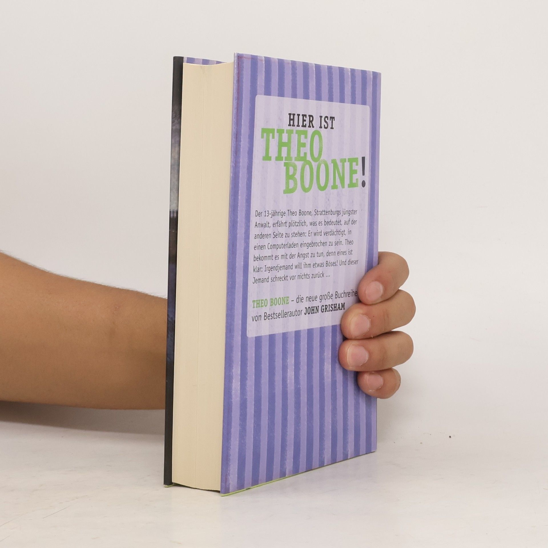 John Grisham Theo Boone unter Verdacht