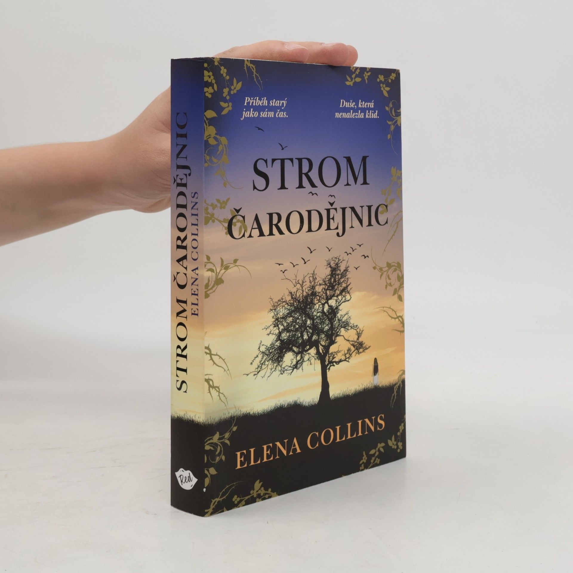 Judy Leigh Strom čarodějnic