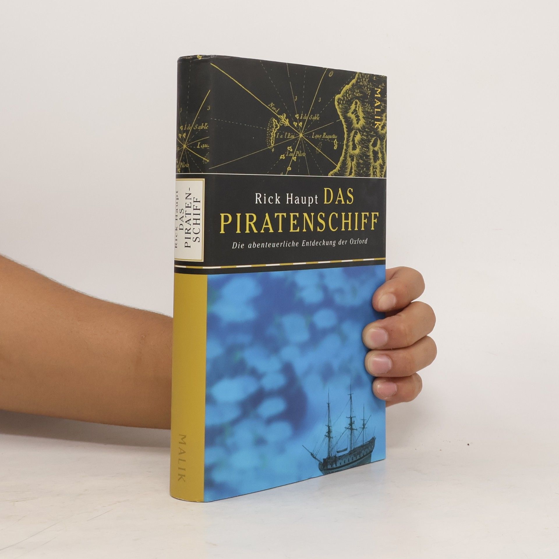 Rick Haupt Das Piratenschiff
