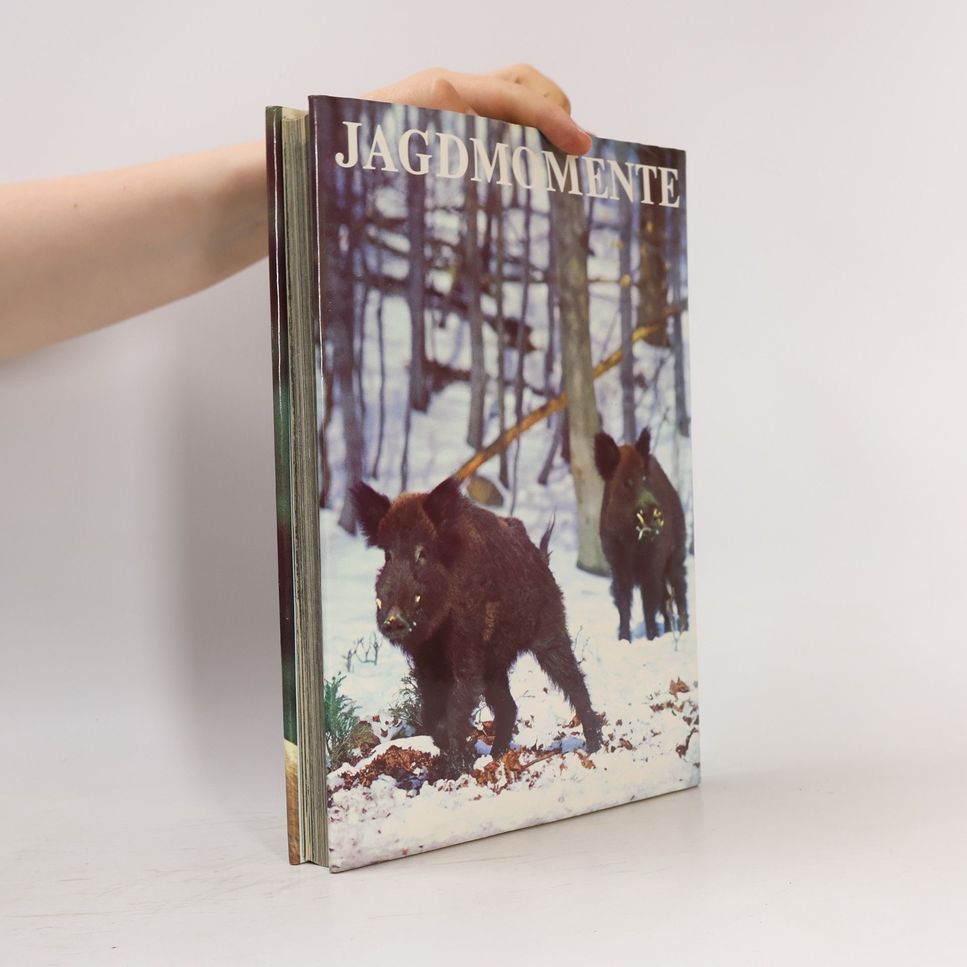 Sláva Štochl Jagdmomente. Drama und Poesie der Jagd