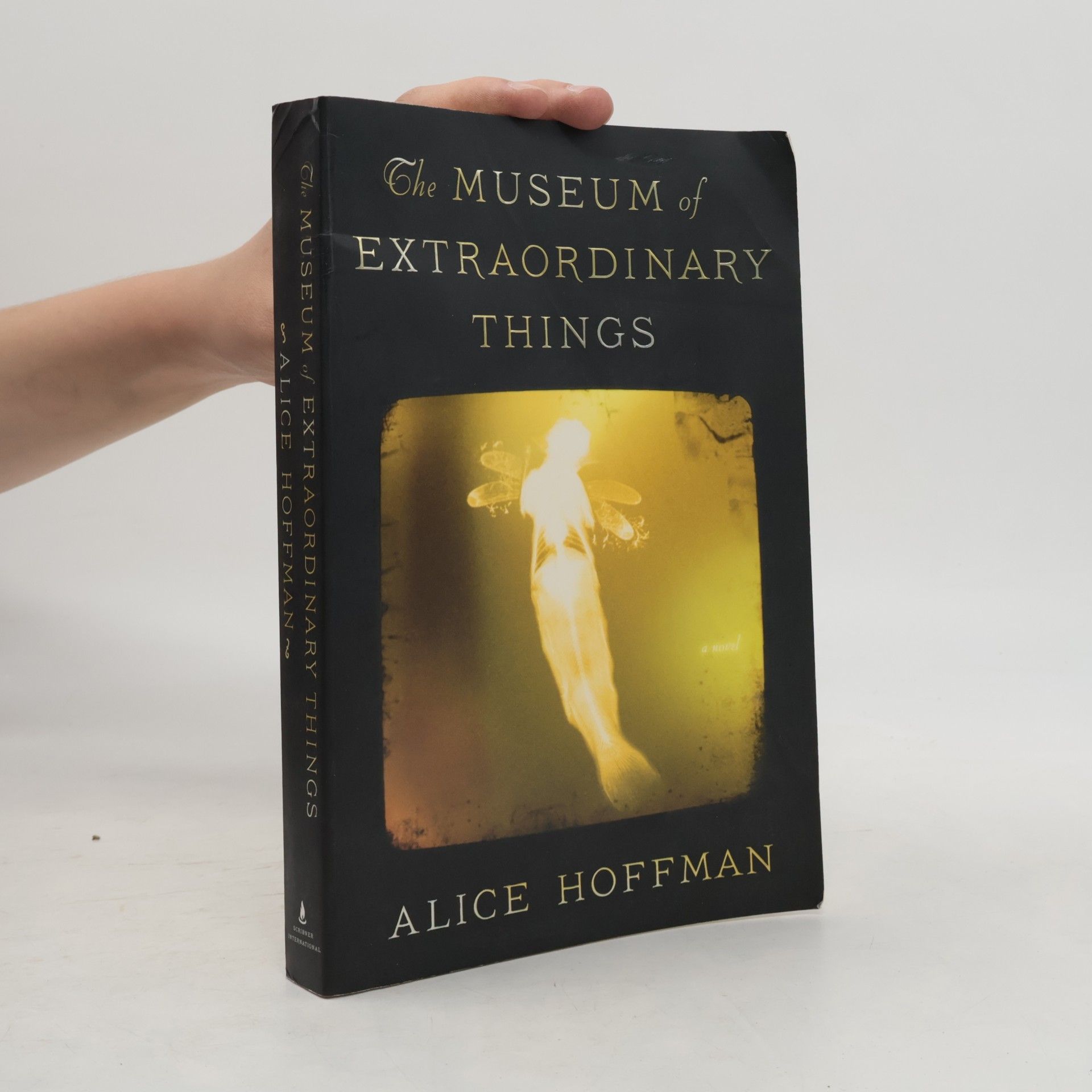 Alice Hoffman The Museum of Extraordinary Things