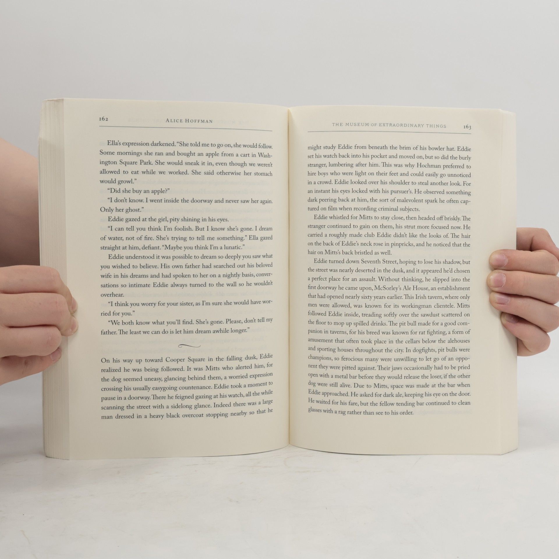Alice Hoffman The Museum of Extraordinary Things