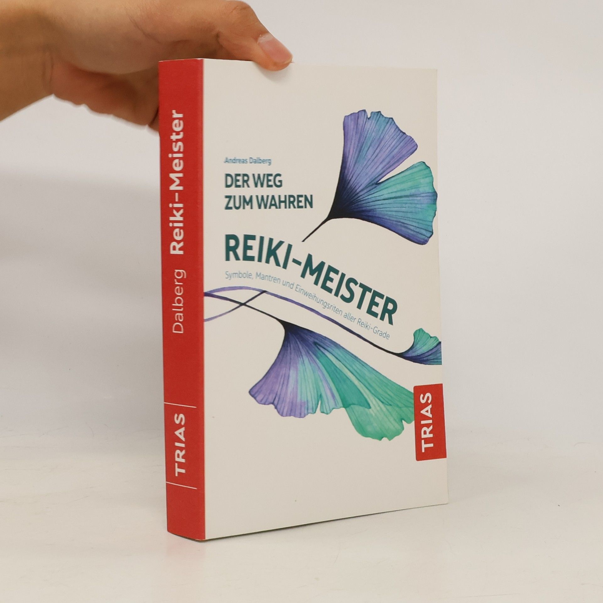 Andreas Dalberg Der Weg zum wahren Reiki-Meister