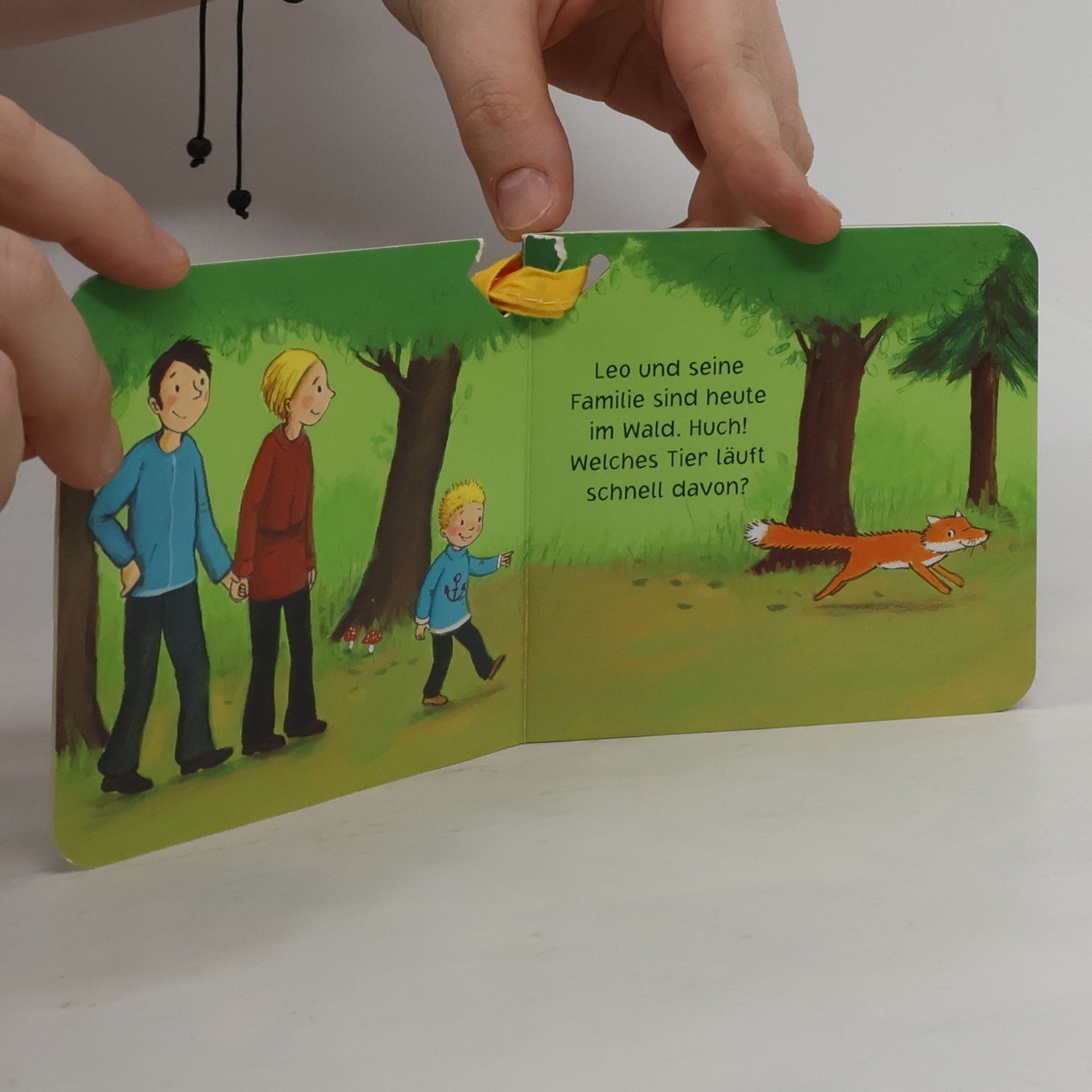 Heike Vogel Mein kleines Buggybuch - Waldtiere