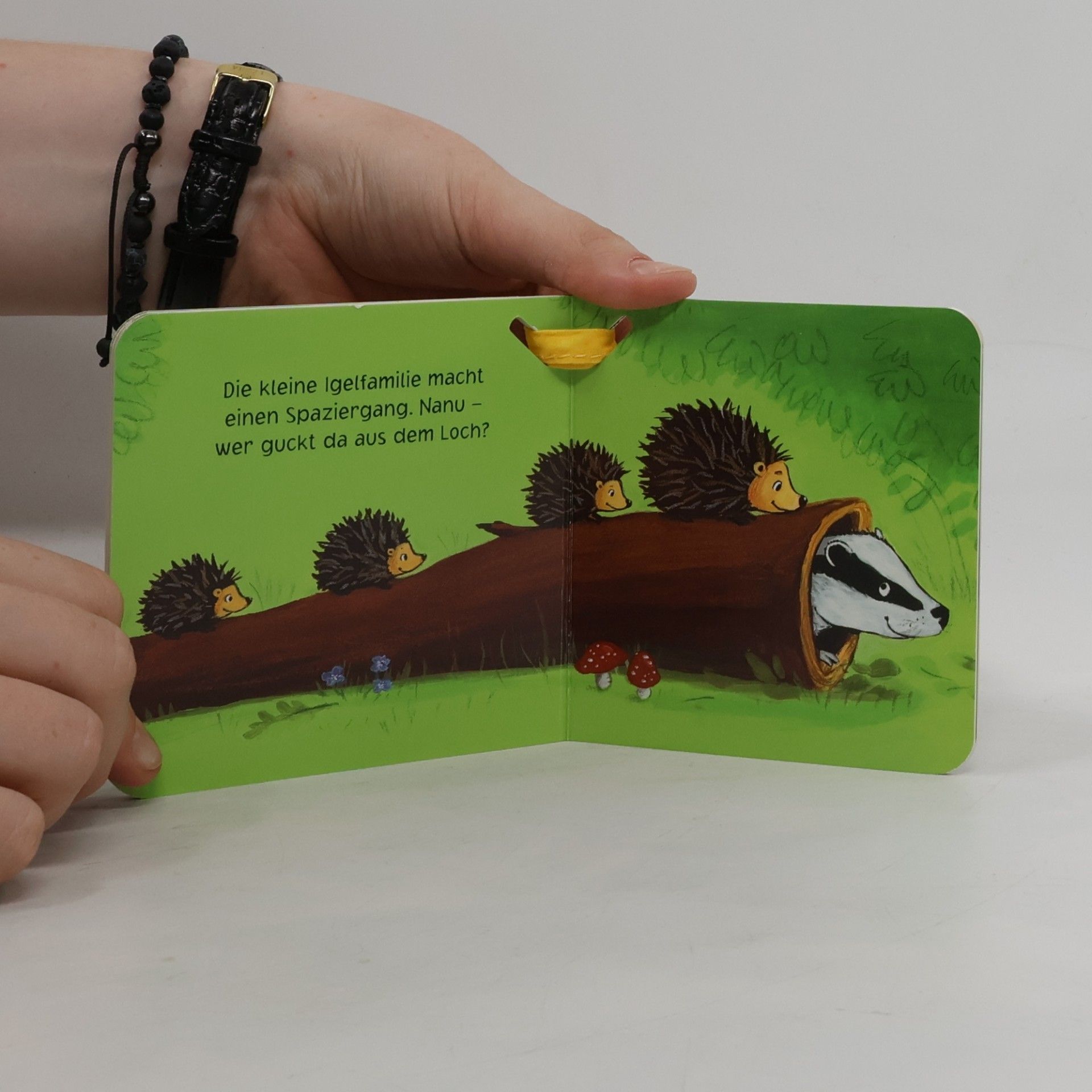 Heike Vogel Mein kleines Buggybuch - Waldtiere