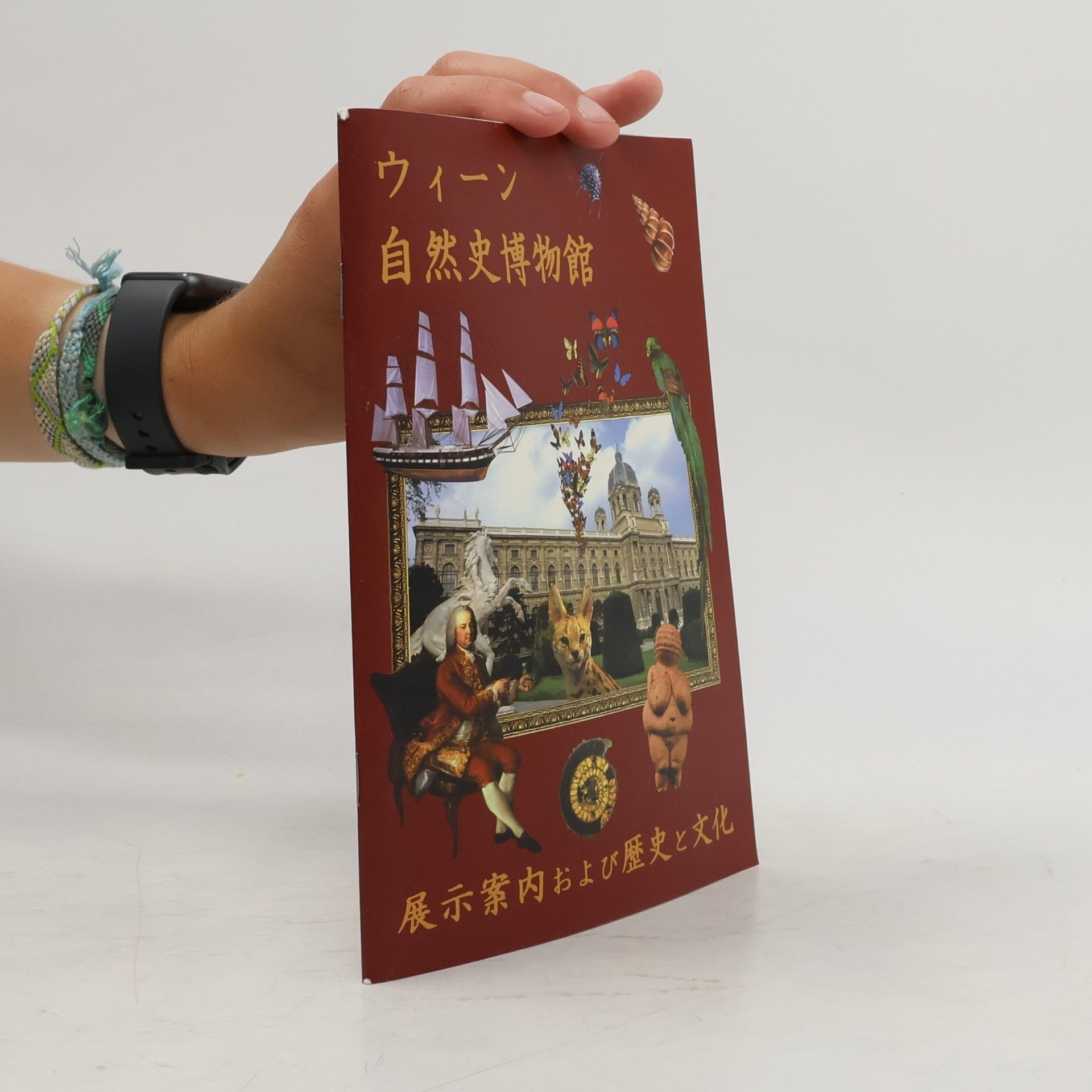 Masako Machara ウィーン 自然史博物館