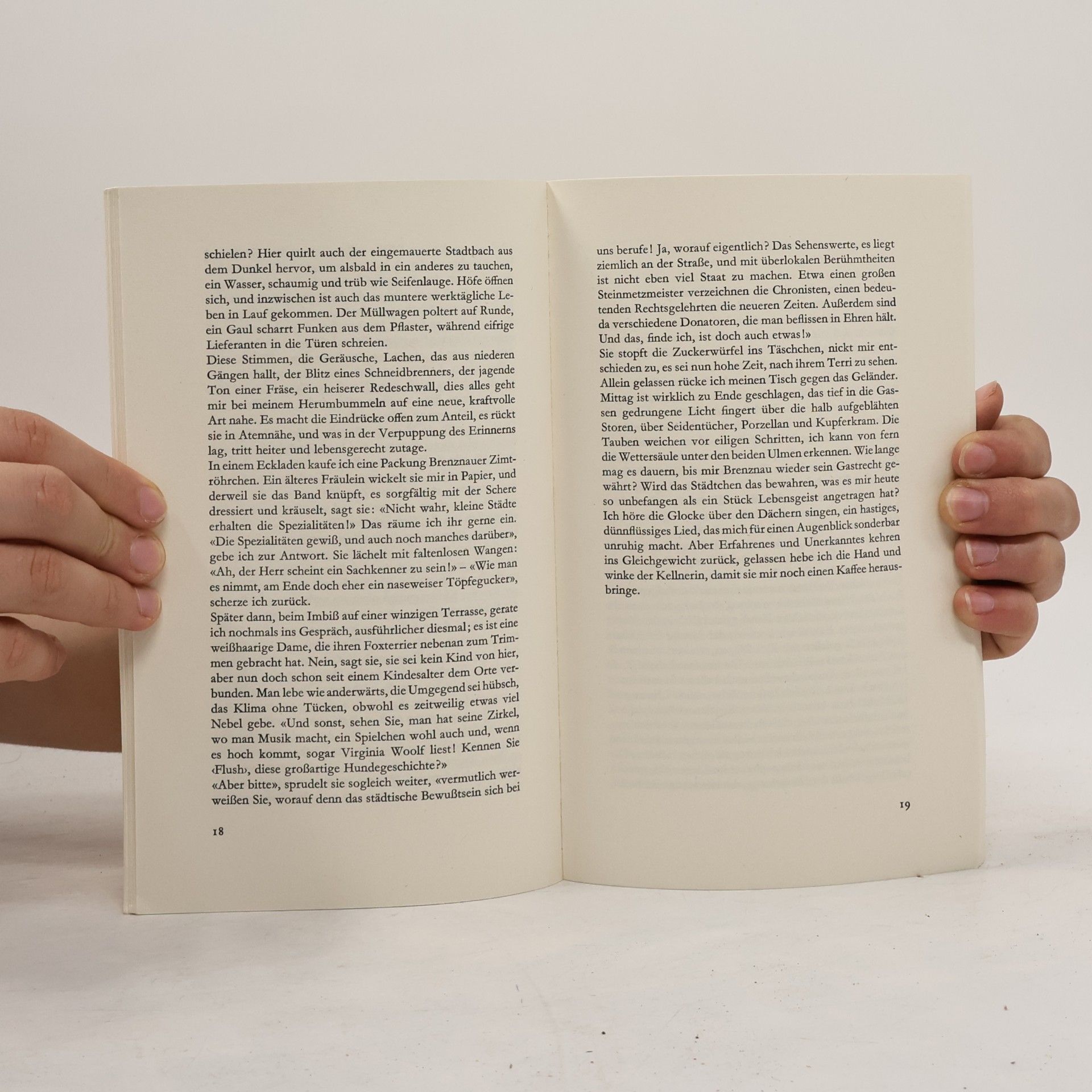 Fritz Senft Die Bücherkatze