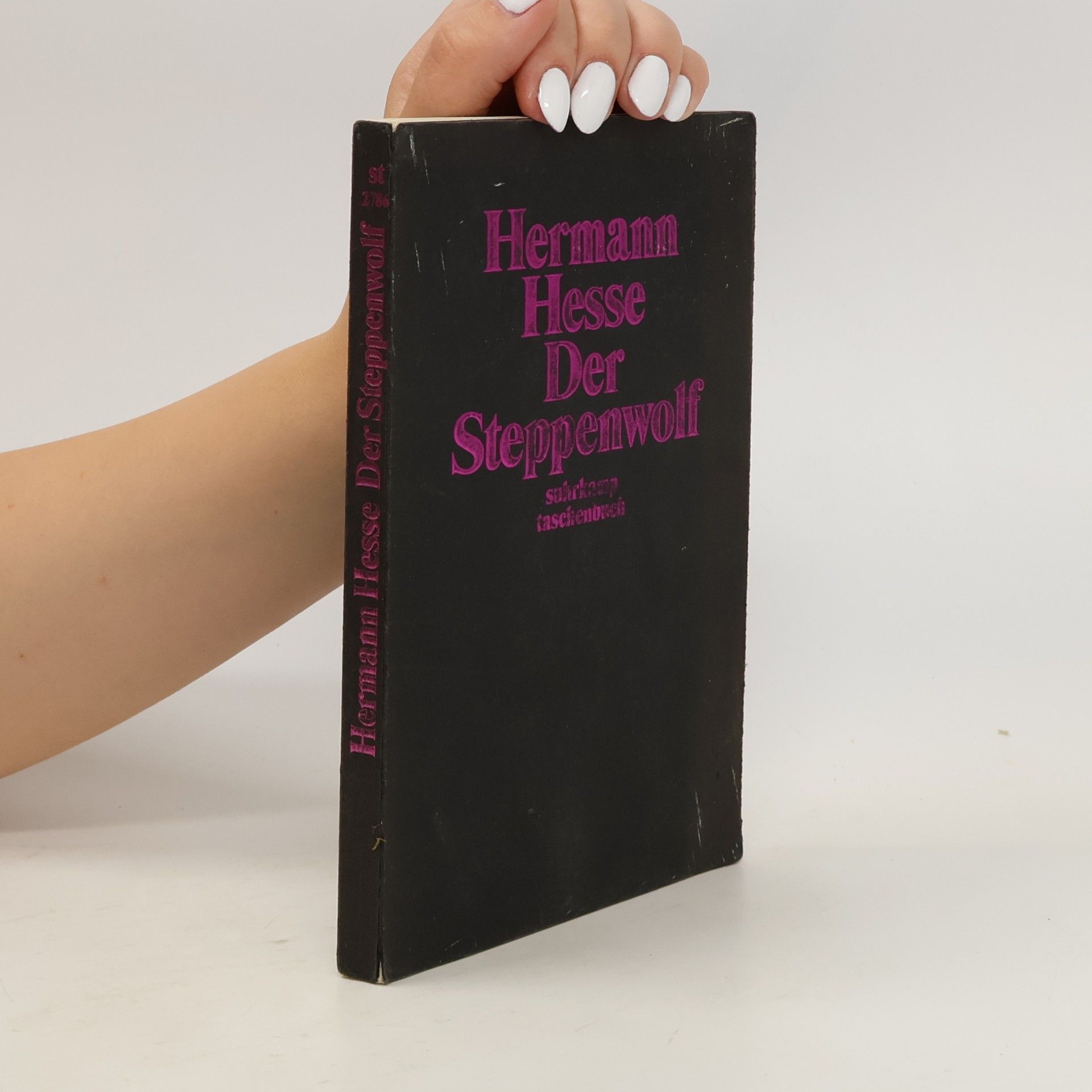 Hermann Hesse Der Steppenwolf