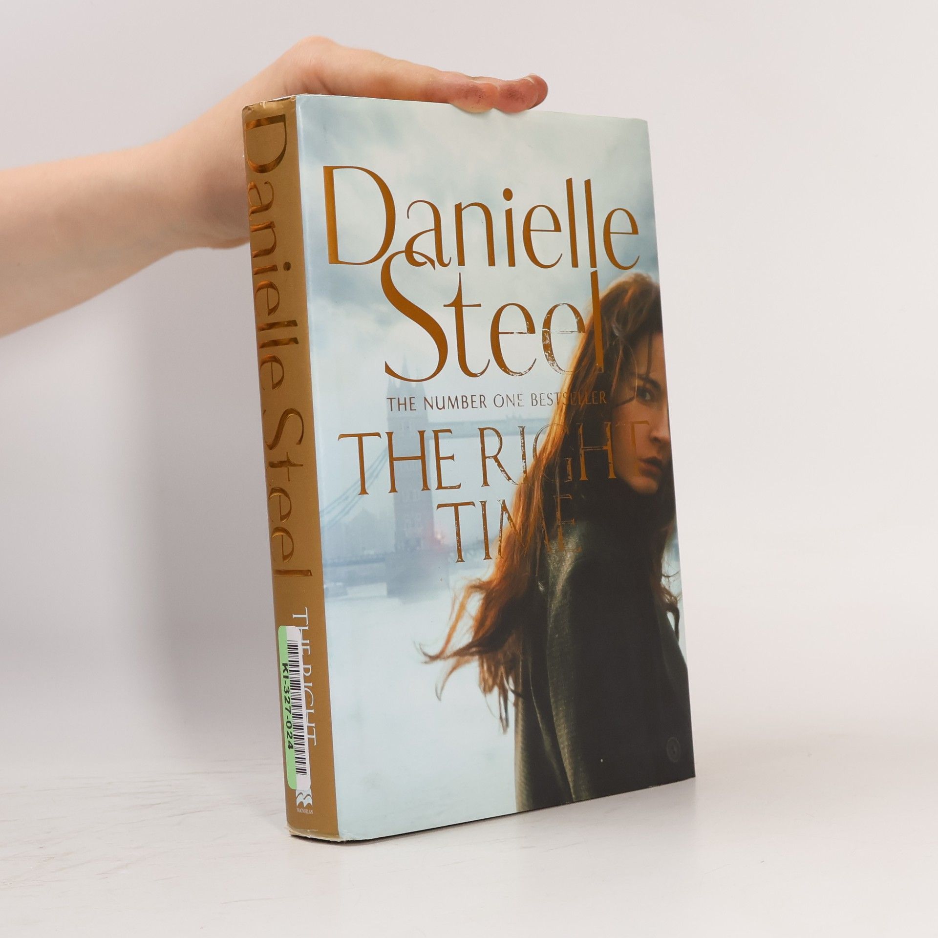 Danielle Steel The Right Time