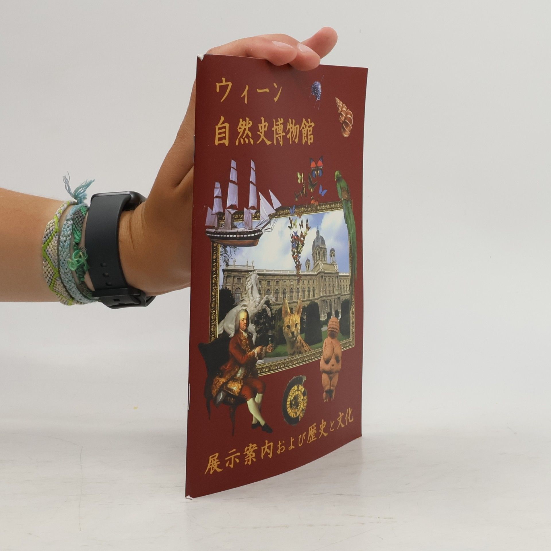 Masako Machara ウィーン 自然史博物館