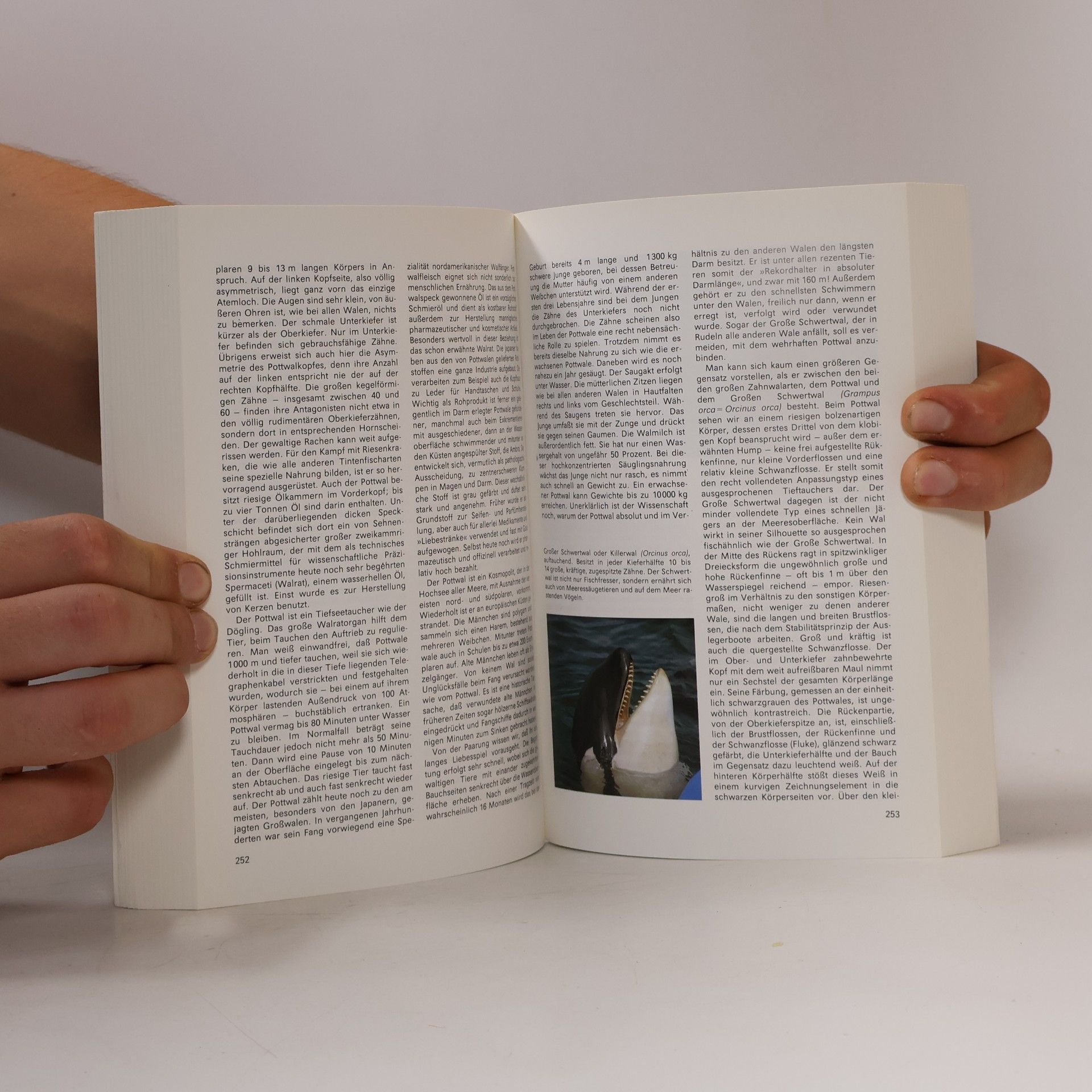 Autorenkollektiv Urania-Tierreich